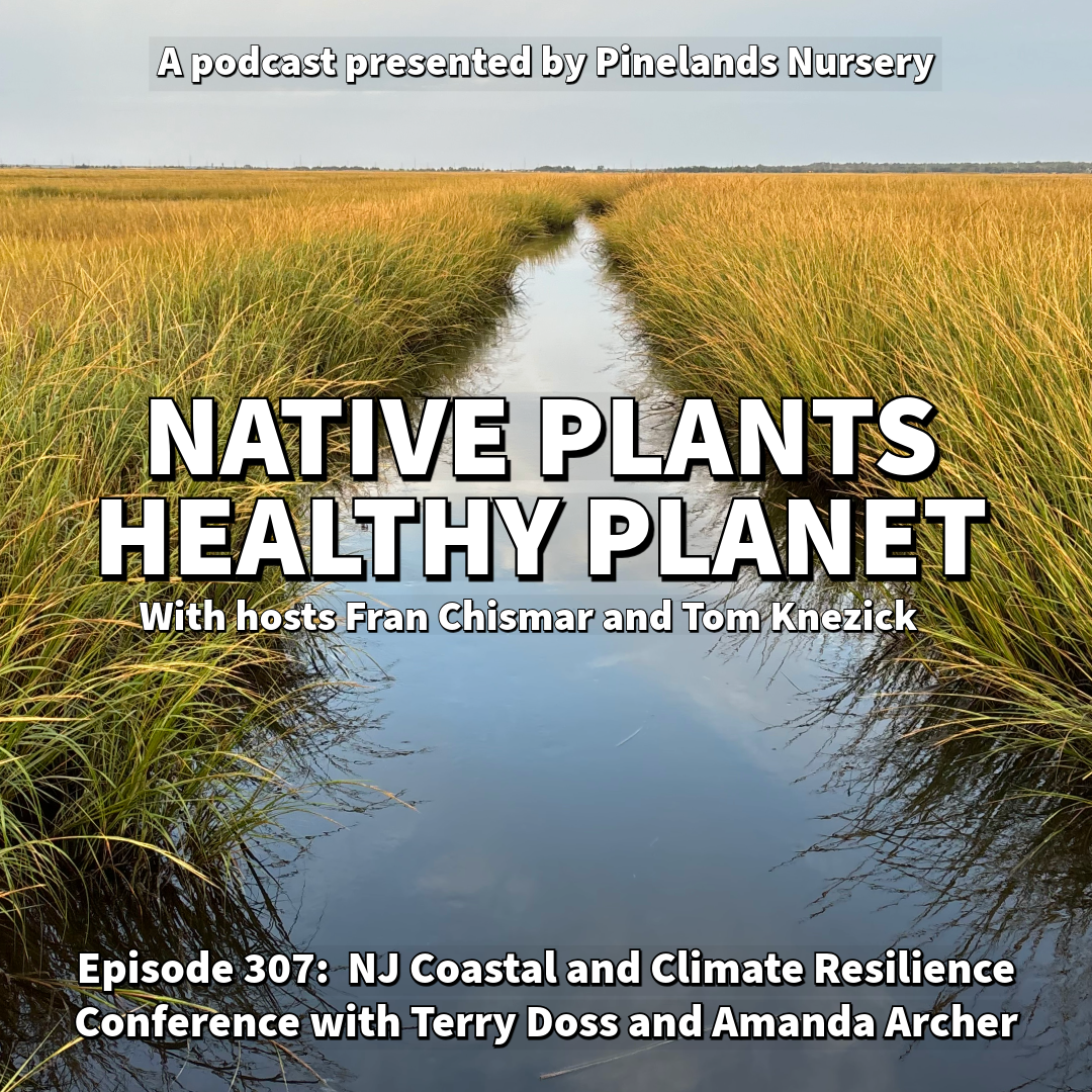 Coastal resilience podcast featuring Amanda Archer