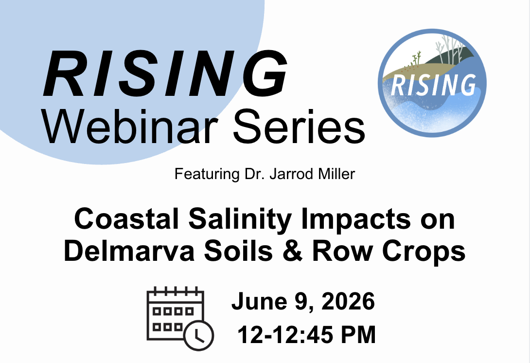 RISING Webinar Series