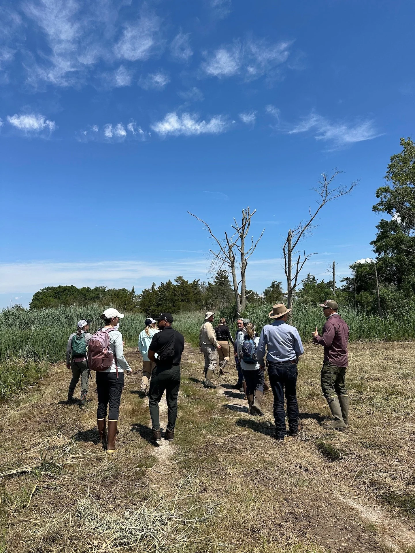 RISING visits salt hay farm and restored wetlands in New Jersey