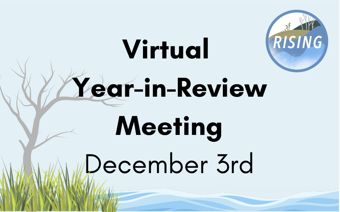 RISING Virtual Year-in-Review Meeting