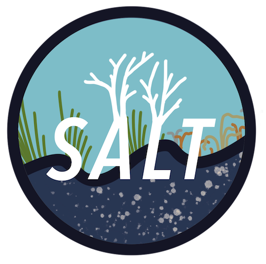 SALT
