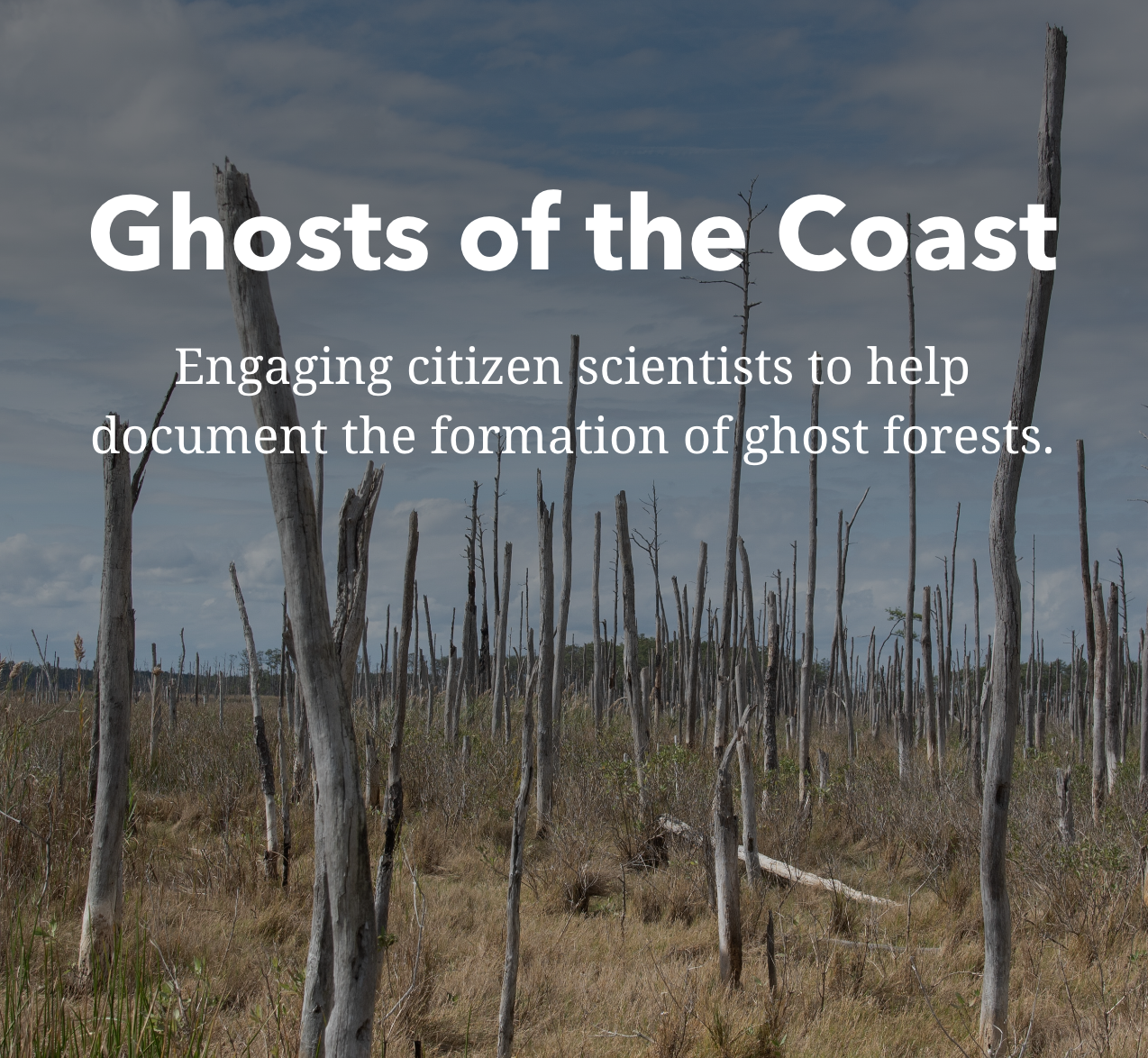 Ghosts of the Coast