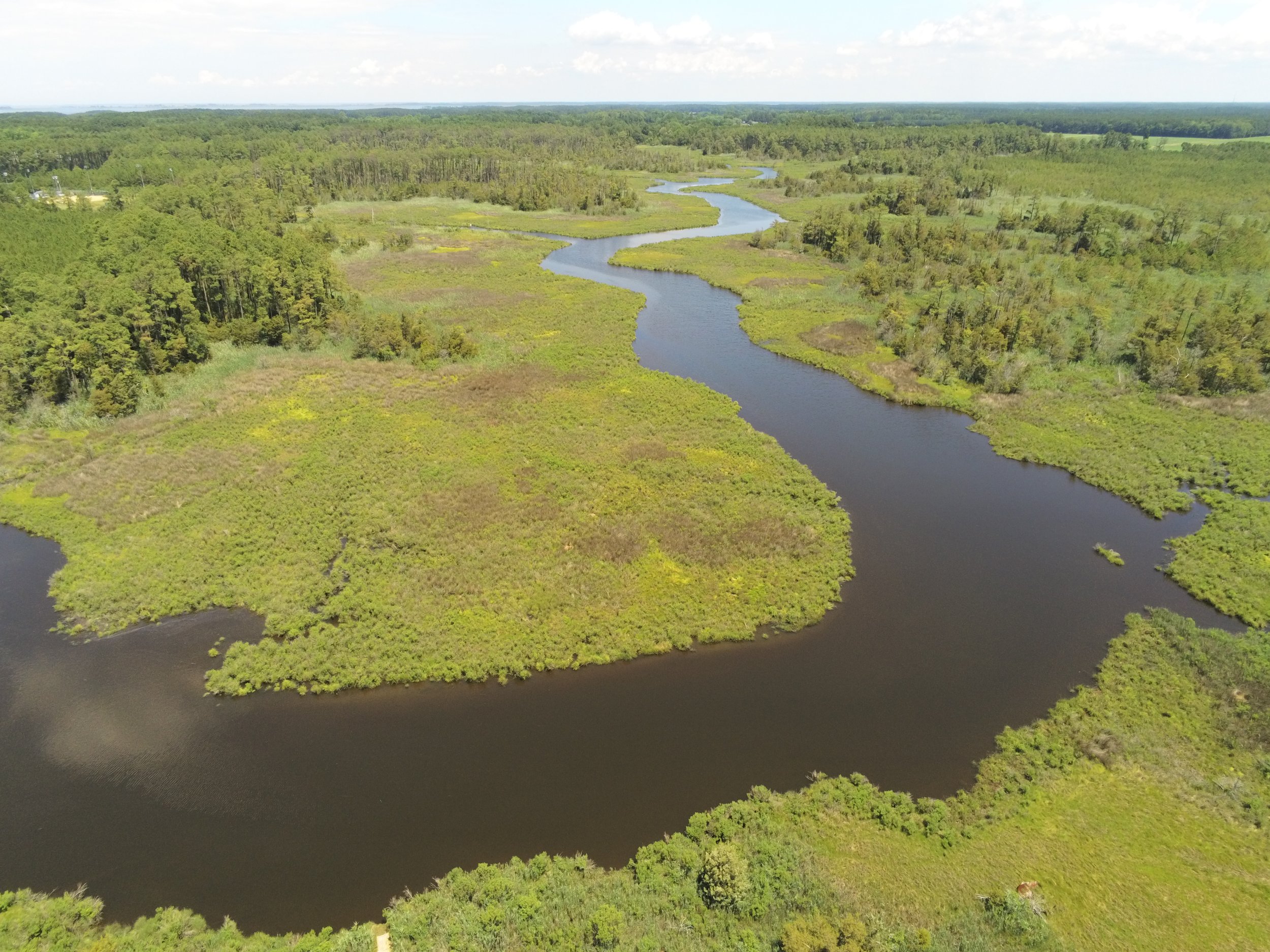 Working Group 2: Building Connections