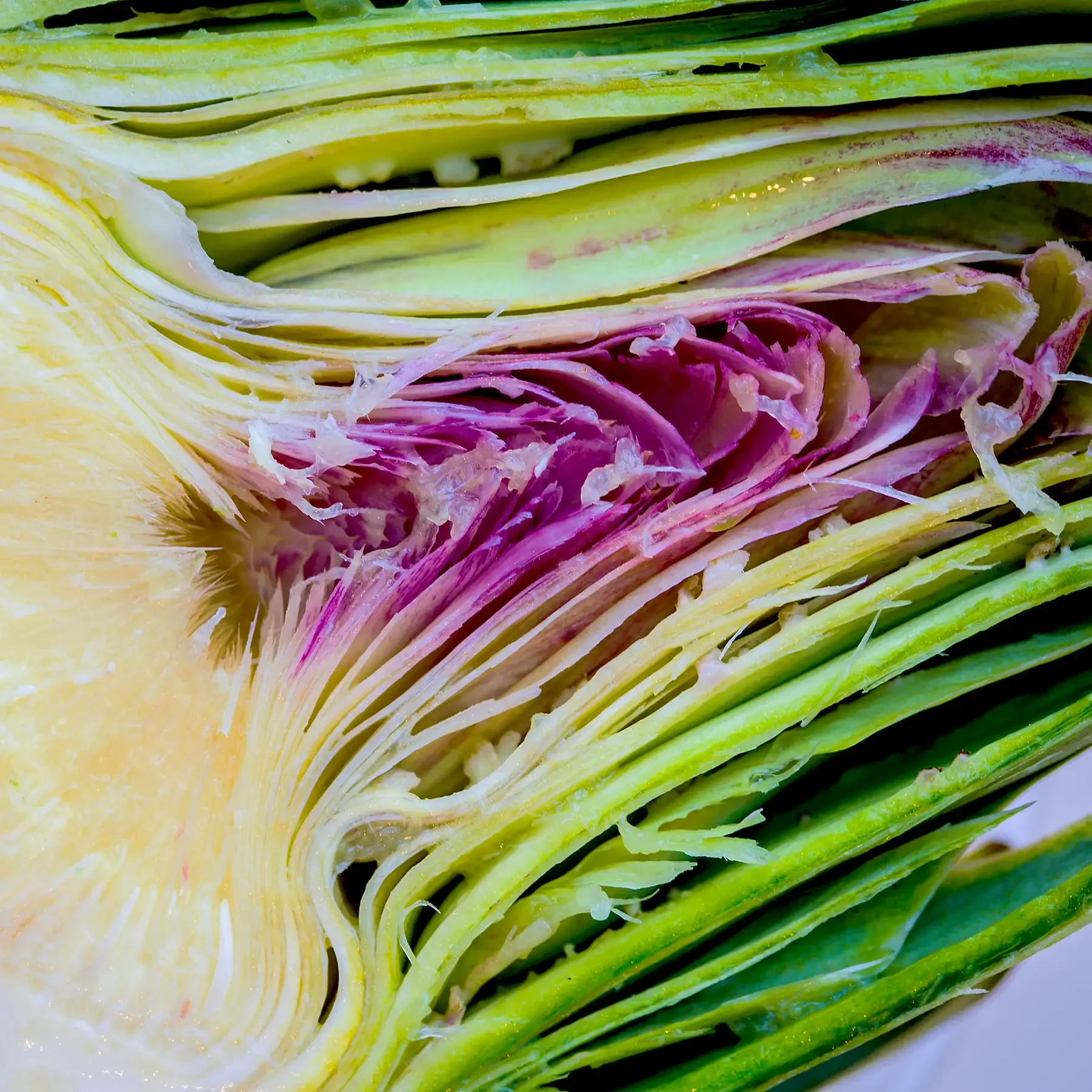 Searcys Summer 2018-41.webp