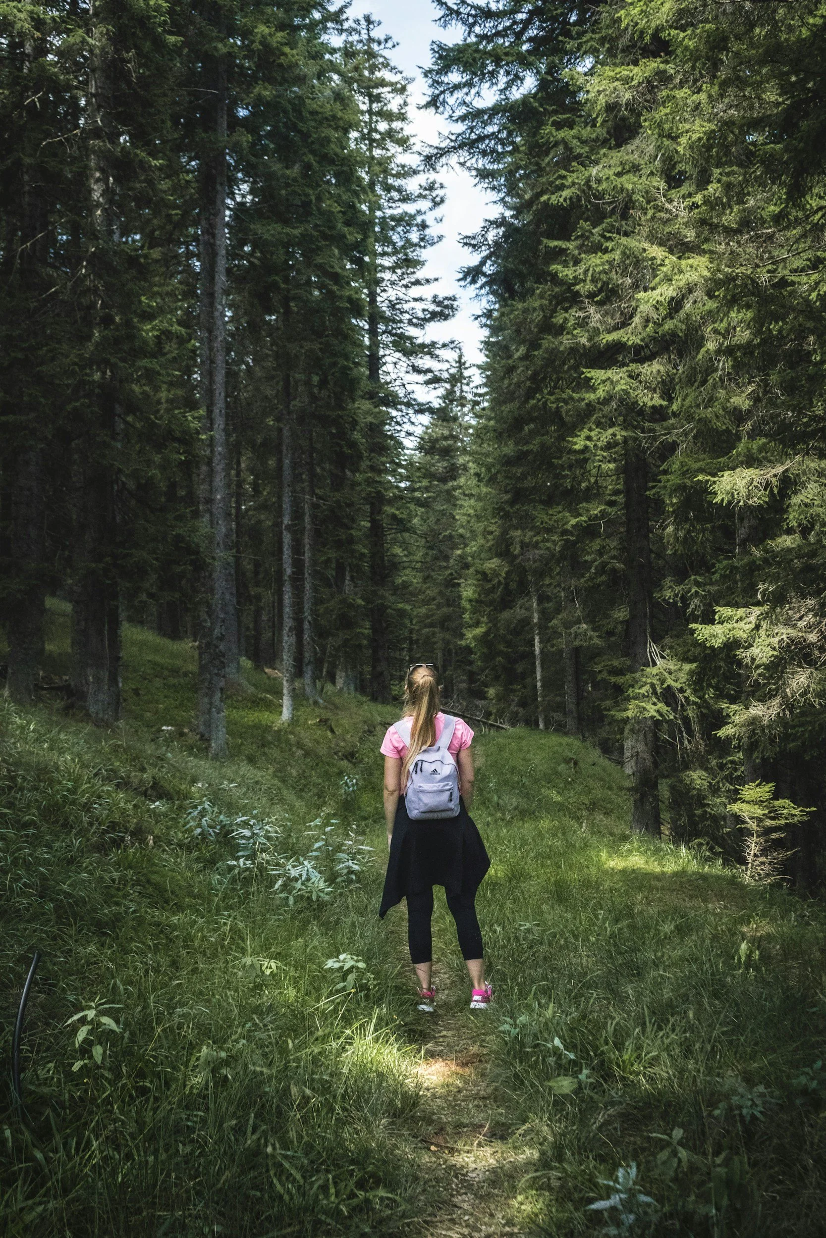 A woman hiking in a forest trail surrounded by tall green pine trees.