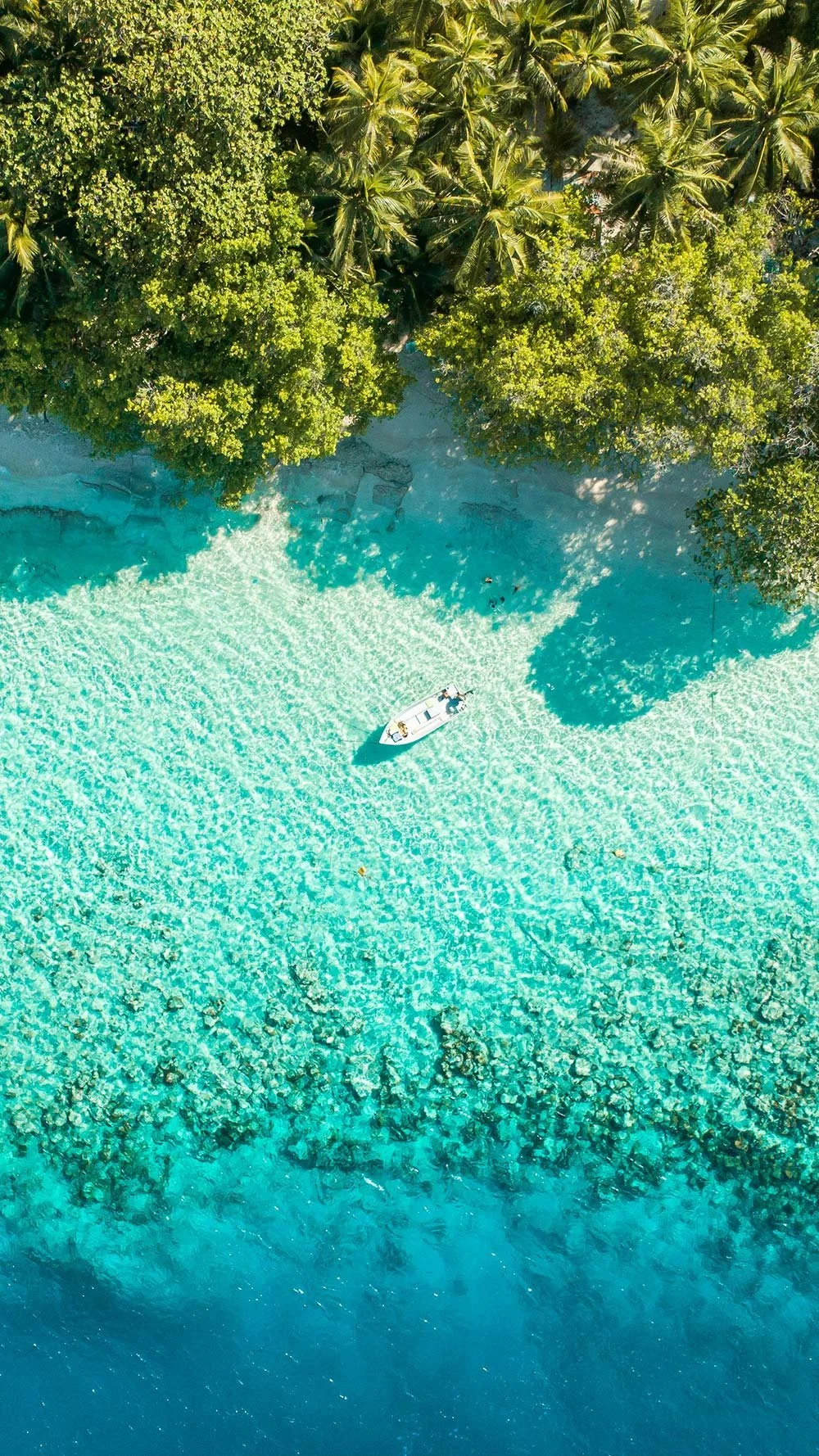 An aerial view of a tropical beach with clear turquoise water, green palm trees, and a small boat floating on the water.