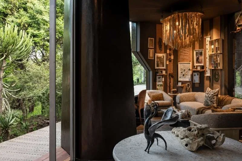 The Conservation Room, and what it is telling us