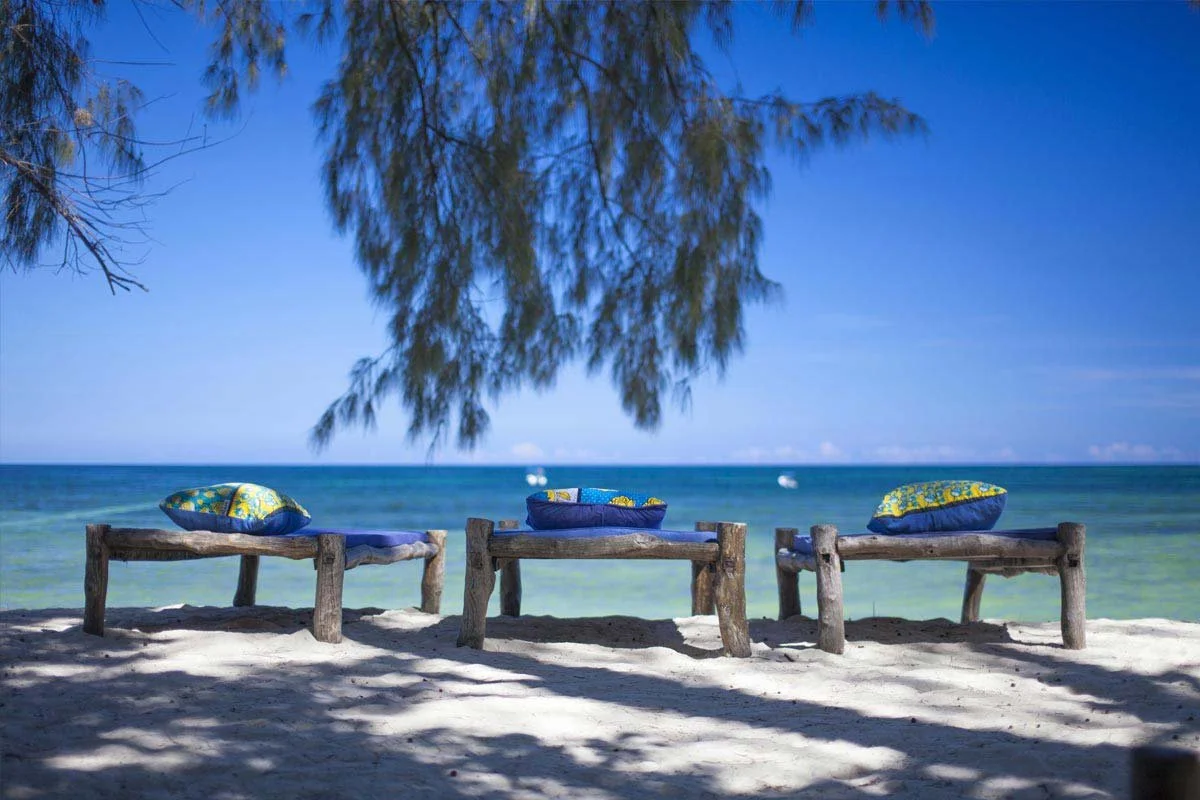Three wooden beach chairs with colorful pillows on a sandy beach, under a tree, facing the ocean with boats in the distance under a clear blue sky.