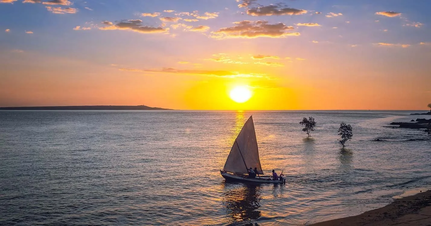 A boat with a sail on the water during sunset, with two trees partially submerged in the water and a distant landmass on the horizon.