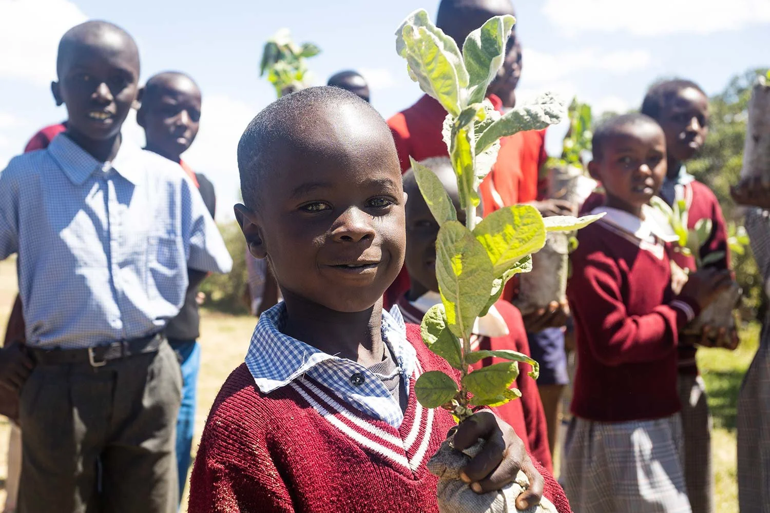 A young boy in a red sweater holding a small leafy plant, smiling at the camera, with other children in school uniforms and backpacks in the background outdoors.
