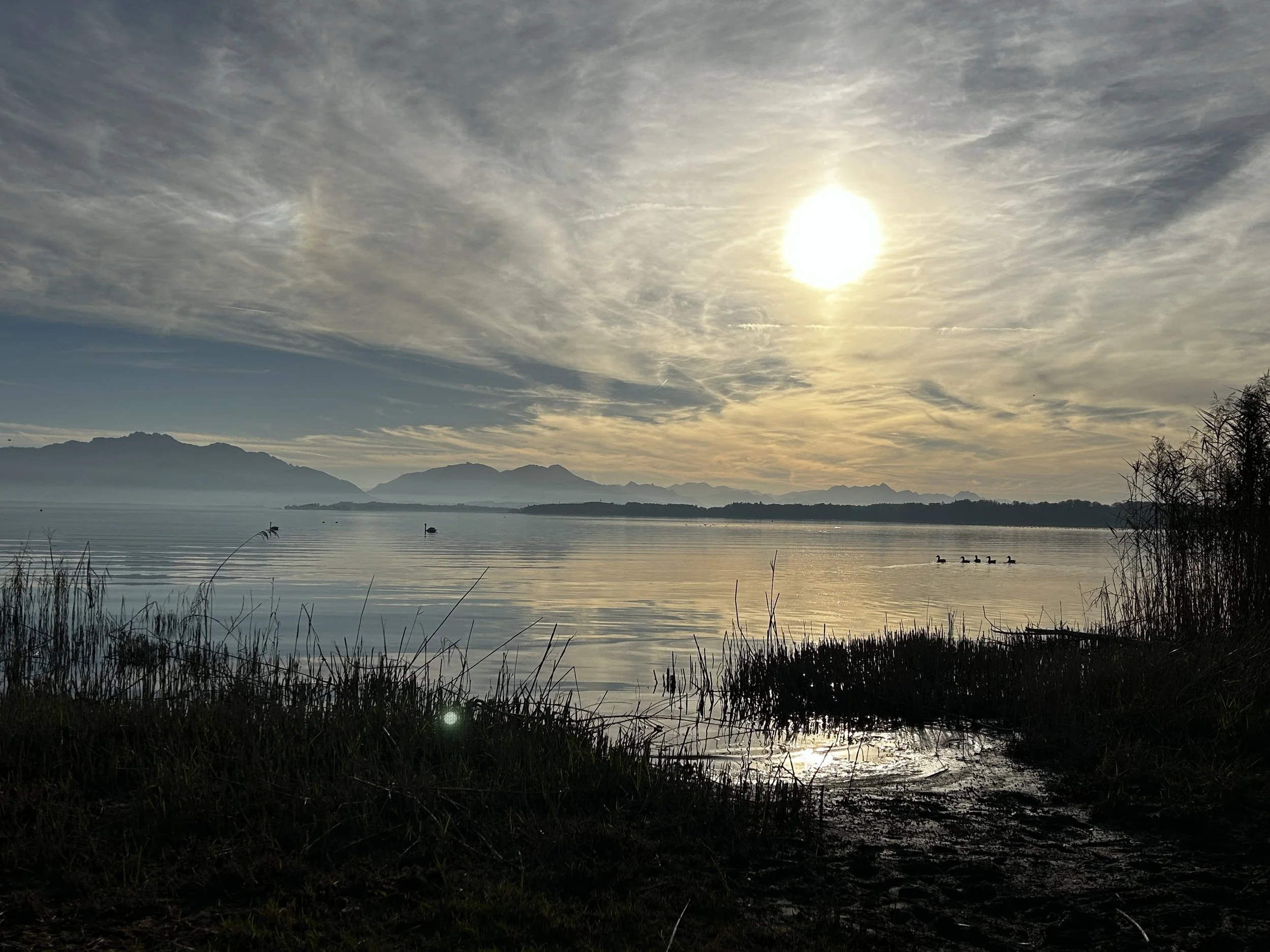Ein See mit Wasserpflanzen am Ufer, im Hintergrund Berge, über dem Wasser fliegen Enten, der Himmel ist mit Wolken bedeckt und die Sonne scheint.