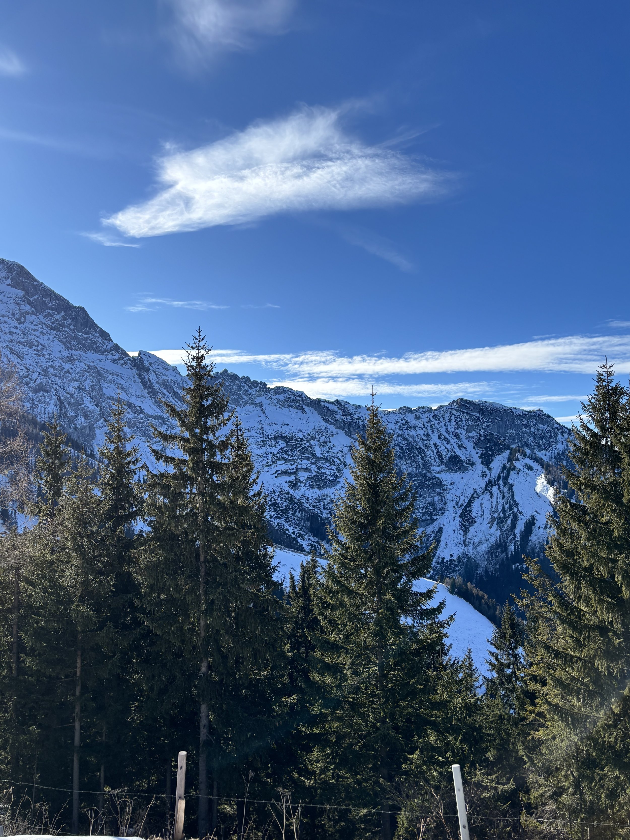 Berglandschaft mit schneebedeckten Gipfeln, Tannenbäumen im Vordergrund und blauem Himmel mit Wolken.