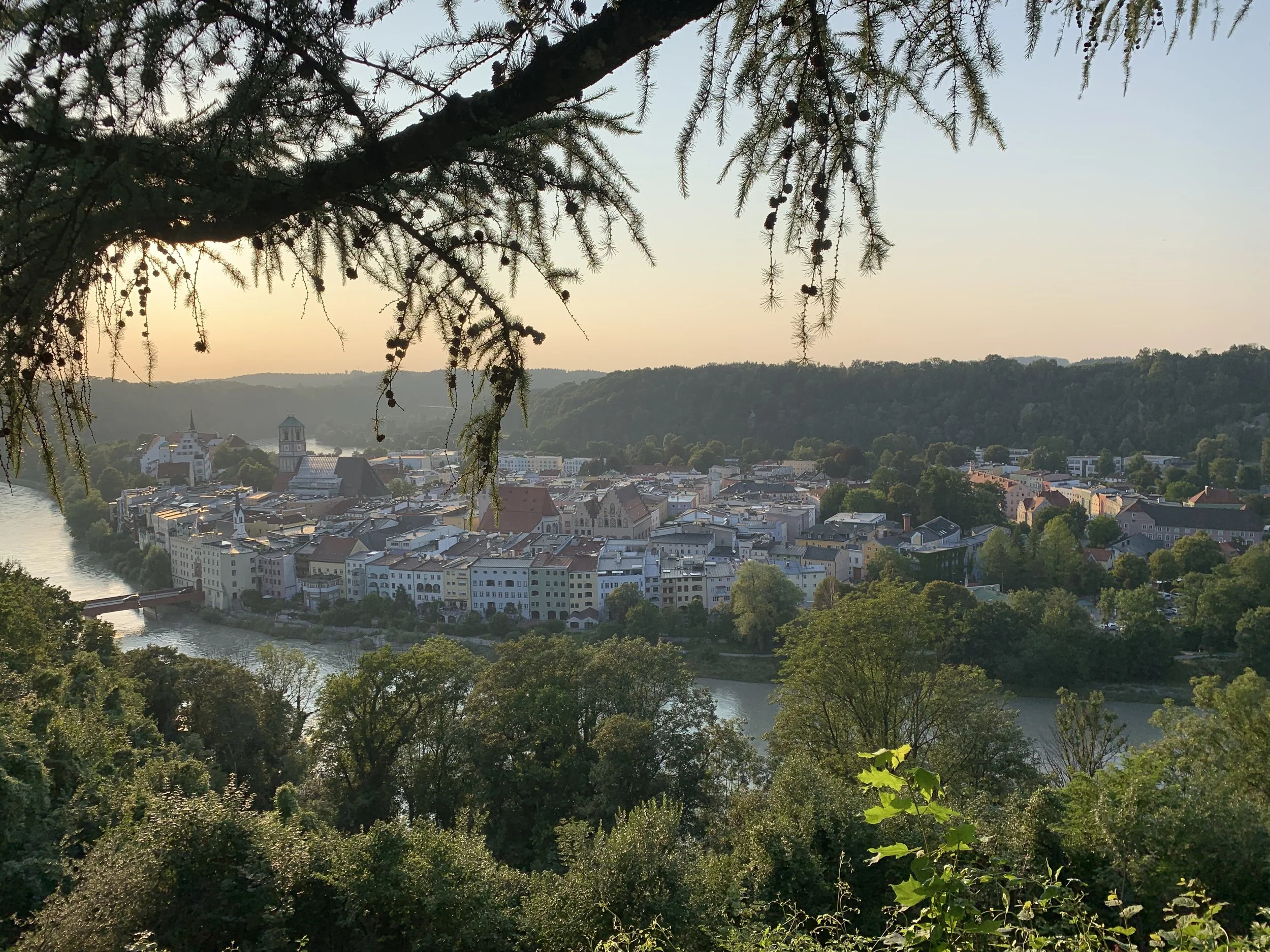Blick auf eine Stadt am Fluss, umgeben von Hügeln und Bäumen, bei Sonnenuntergang, mit einem Baum im Vordergrund im Erlenzweig.