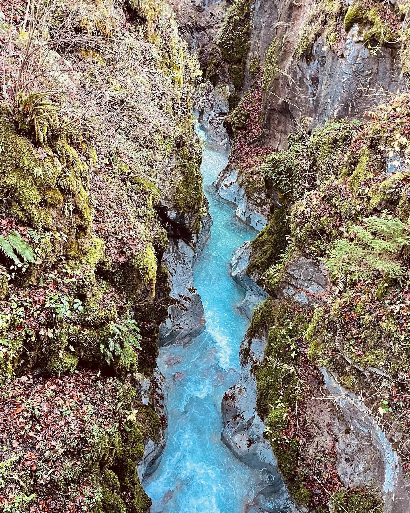 Ein schmaler, blau leuchtender Fluss fließt durch eine enge Felsschlucht mit grünen Pflanzen, Moos und kleinen Bäumen auf beiden Seiten.