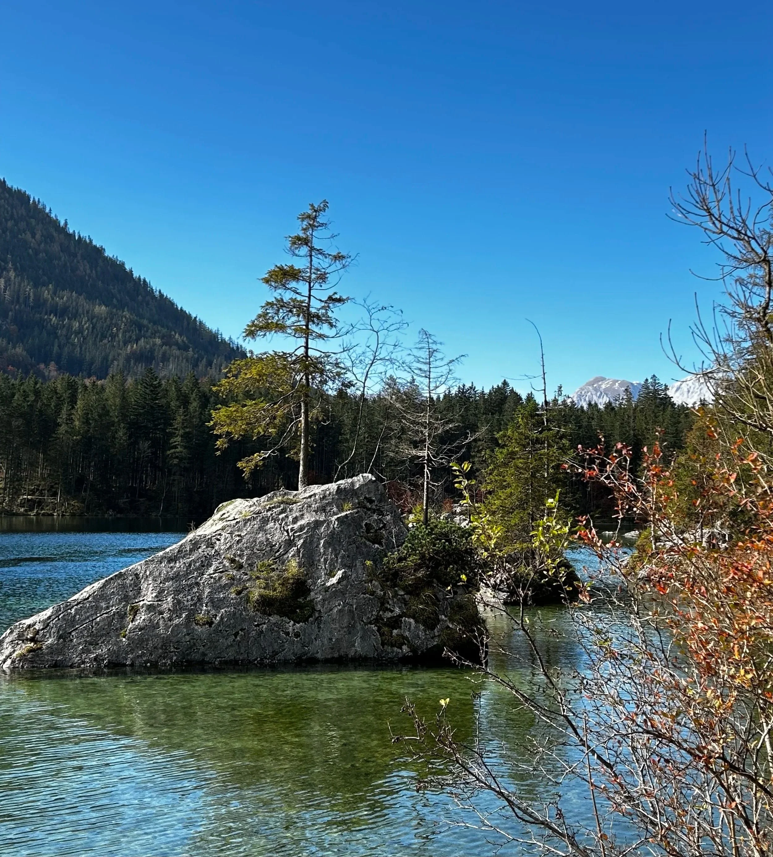 Ein See mit klarem Wasser, umgeben von Bäumen und Bergen unter blauem Himmel, mit einem großen Felsen im Wasser und einigen blühenden Sträuchern im Vordergrund.