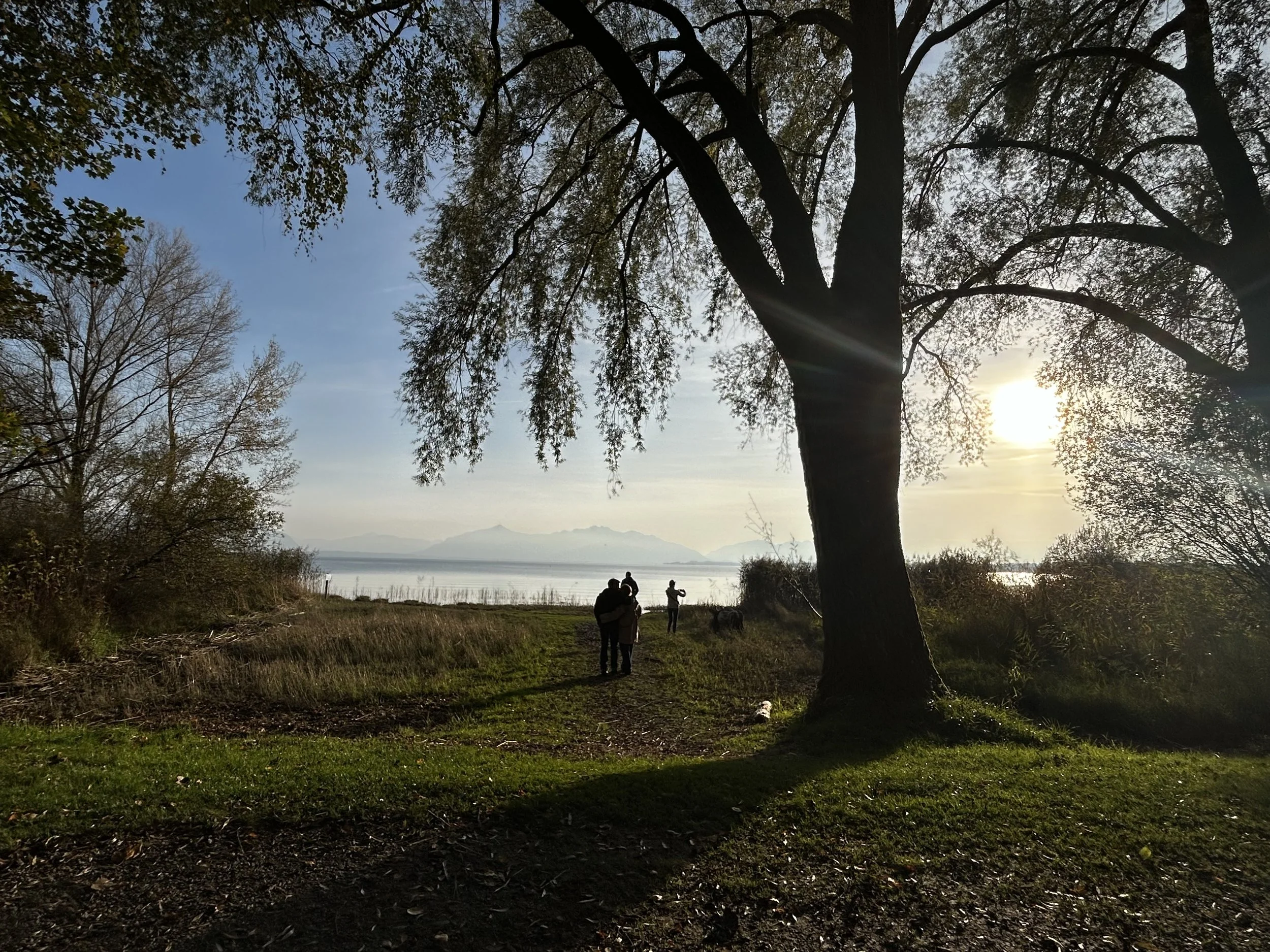 Menschen am Ufer eines Sees bei Sonnenuntergang, im Vordergrund ein großer Baum, im Hintergrund Berge und das Wasser.