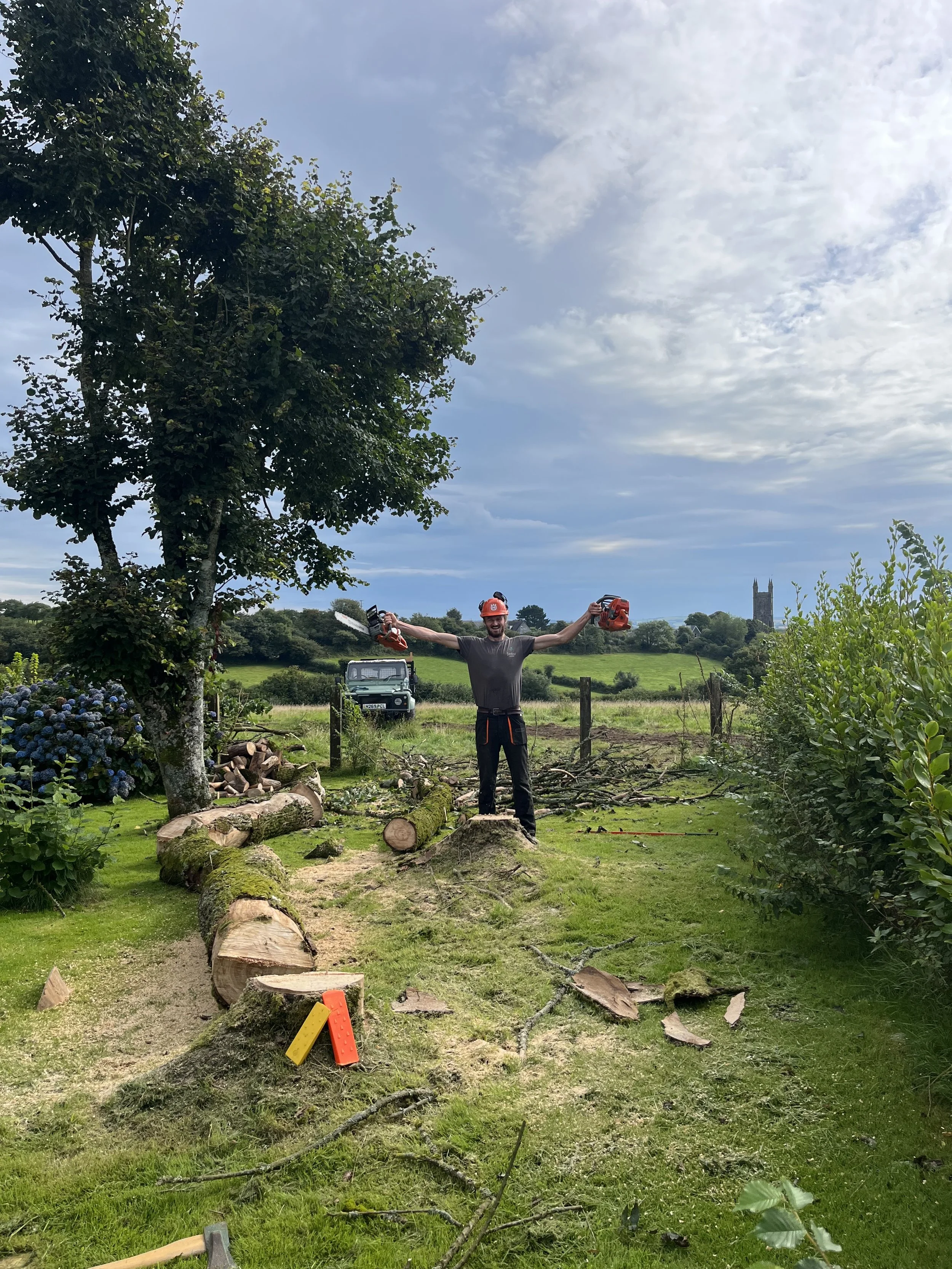 cutting tree down for fire wood