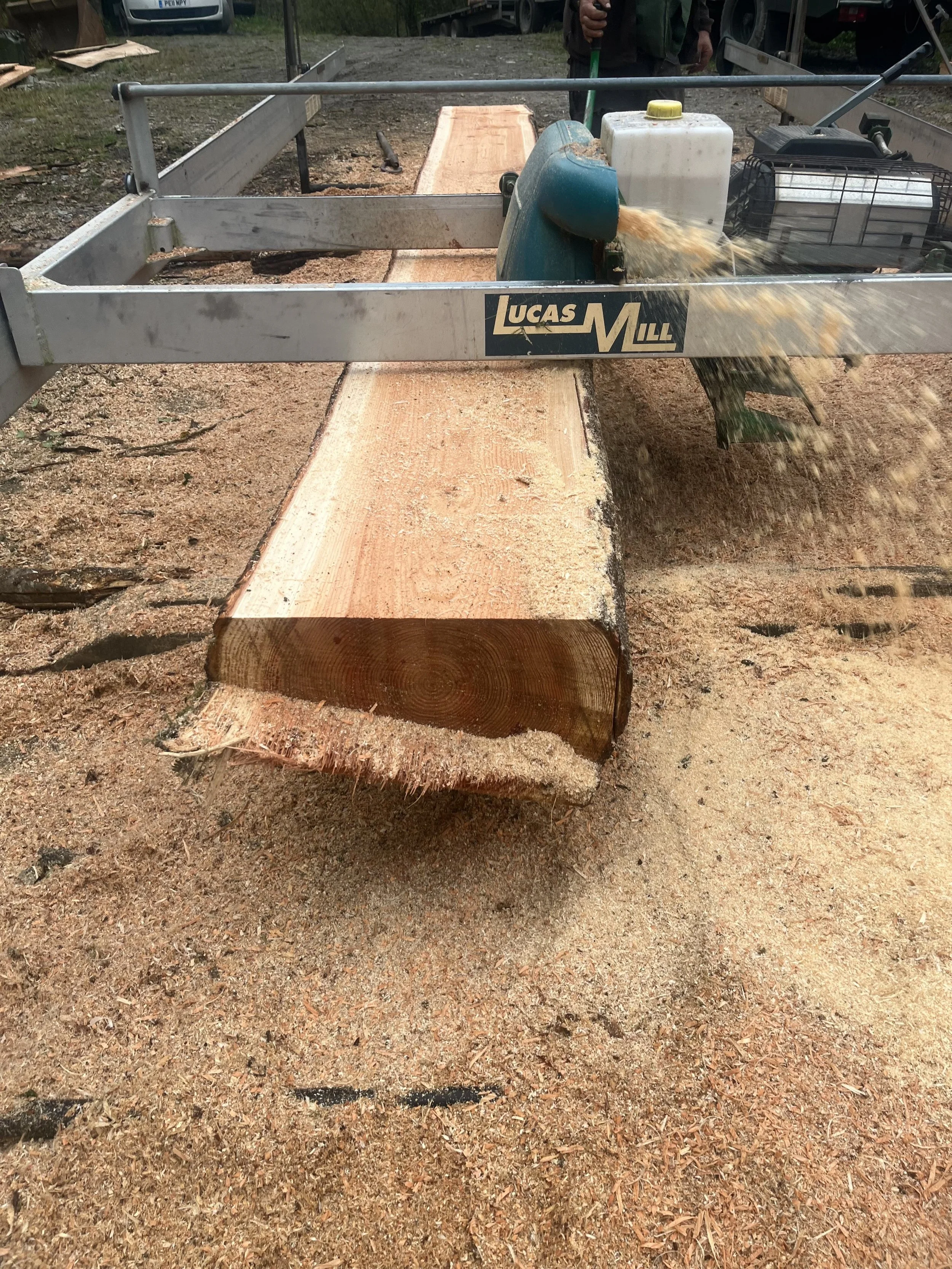 saw mill forest local cornwall timber