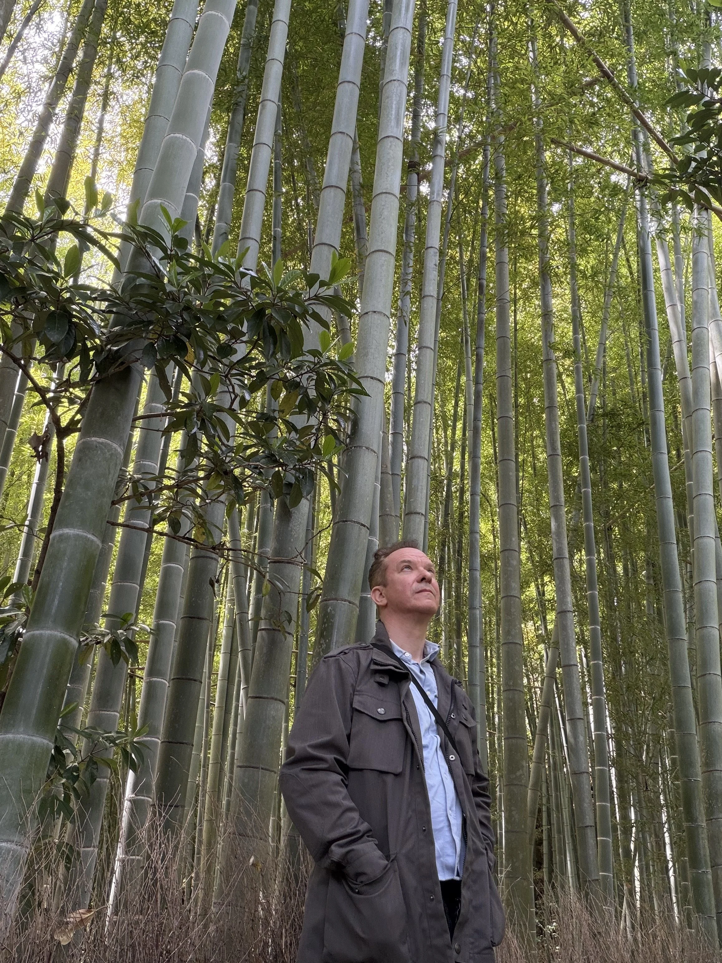 A man standing in a bamboo forest, looking upward, wearing a dark jacket over a light shirt. Gregg Korrol- The Gifted Storyteller. Create the life you've been waiting for and dreaming of.