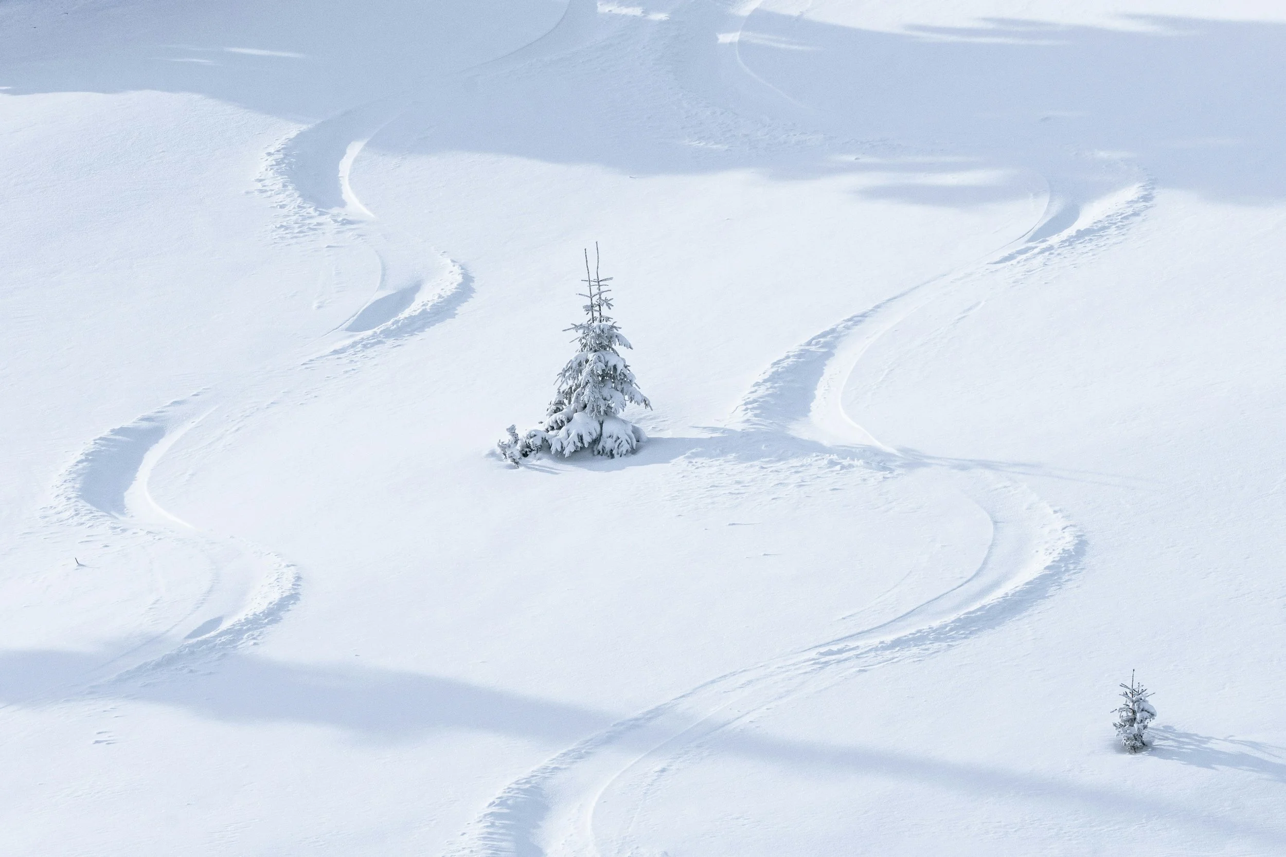 Besneeuwde bergweg met sporen en twee kleine boompjes in de sneeuw.