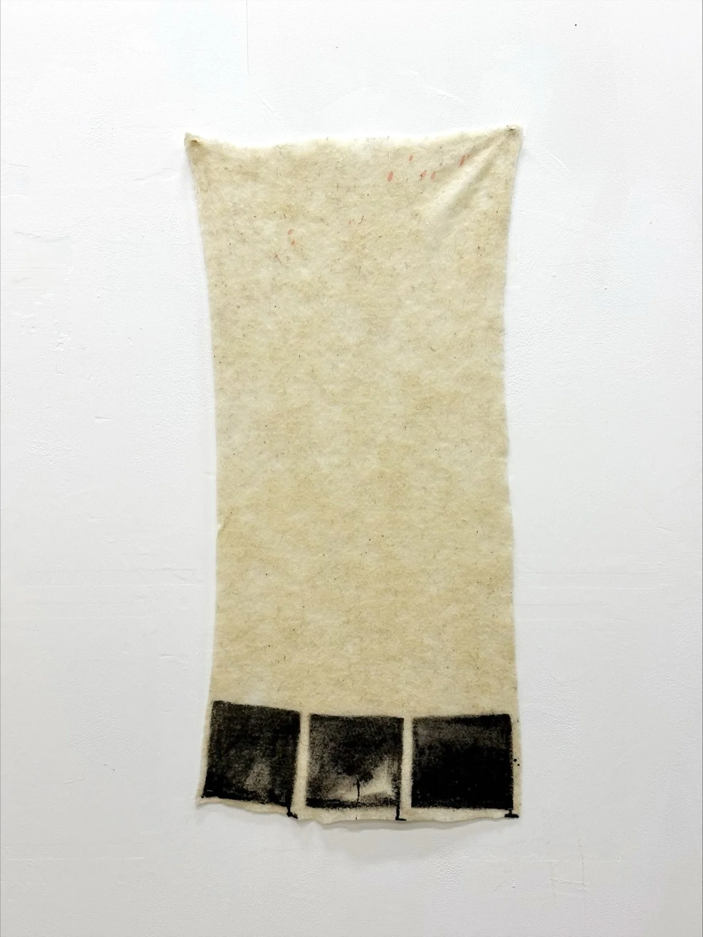 Ink on lambs wool 
24/02/26