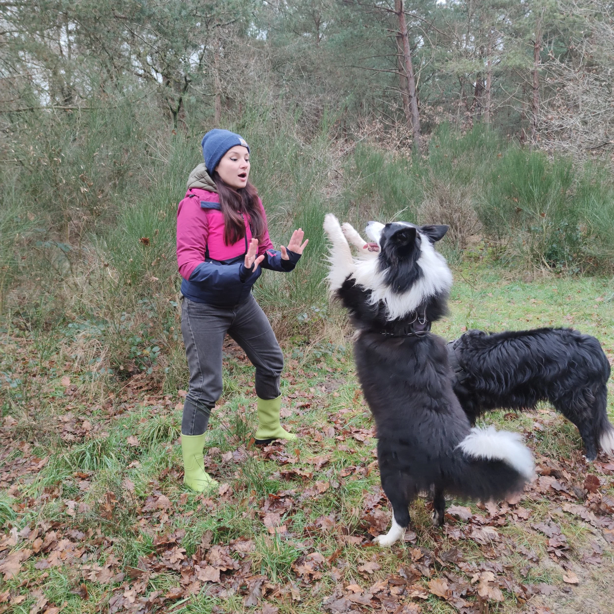 Una donna con cappello blu e giacca rosa parla a un cane Border Collie nero e bianco in un bosco con foglie sul terreno e alberi in background.