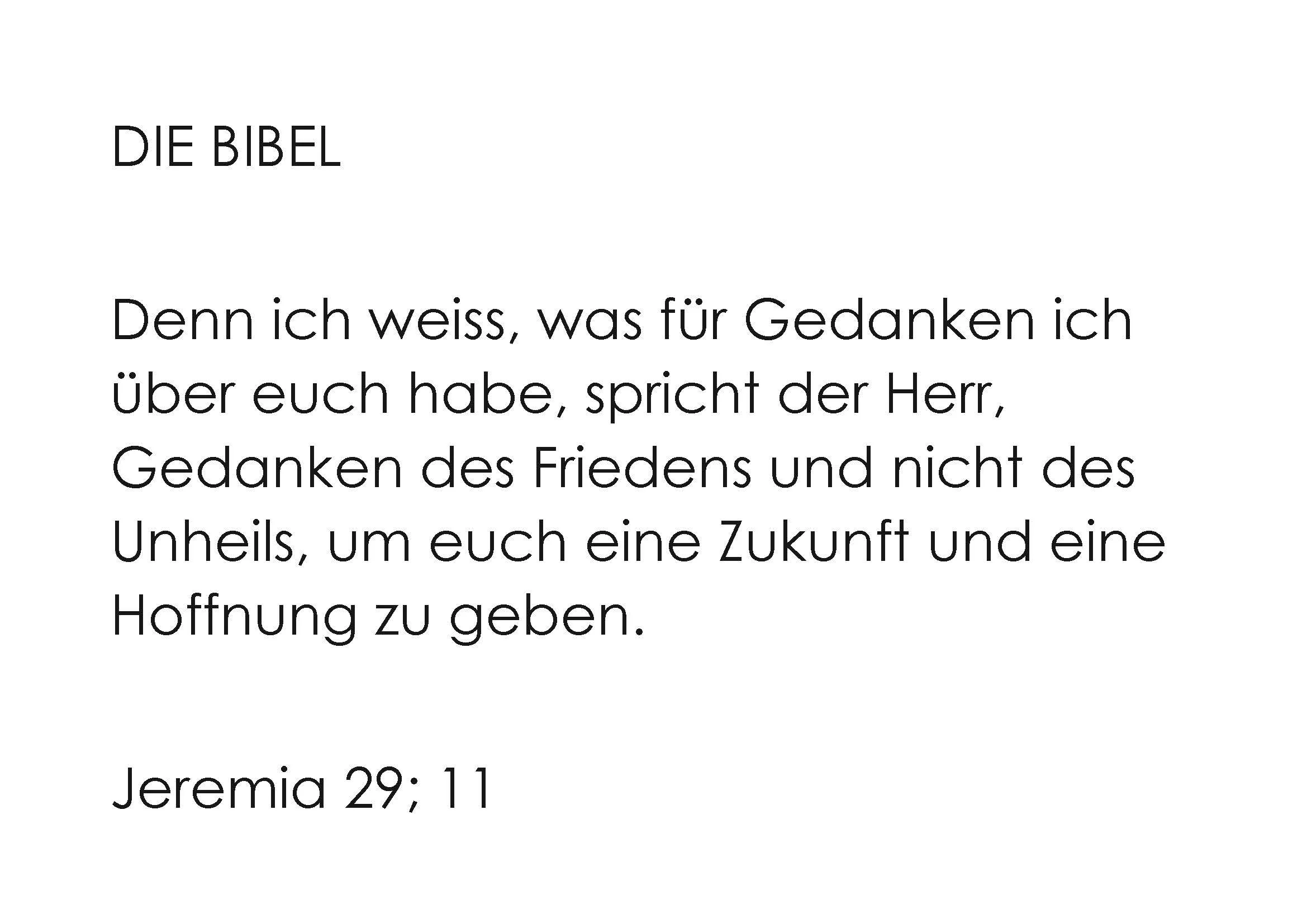 Nr 7, Rückseite , Tor Rasa DIE BIBEL.jpg