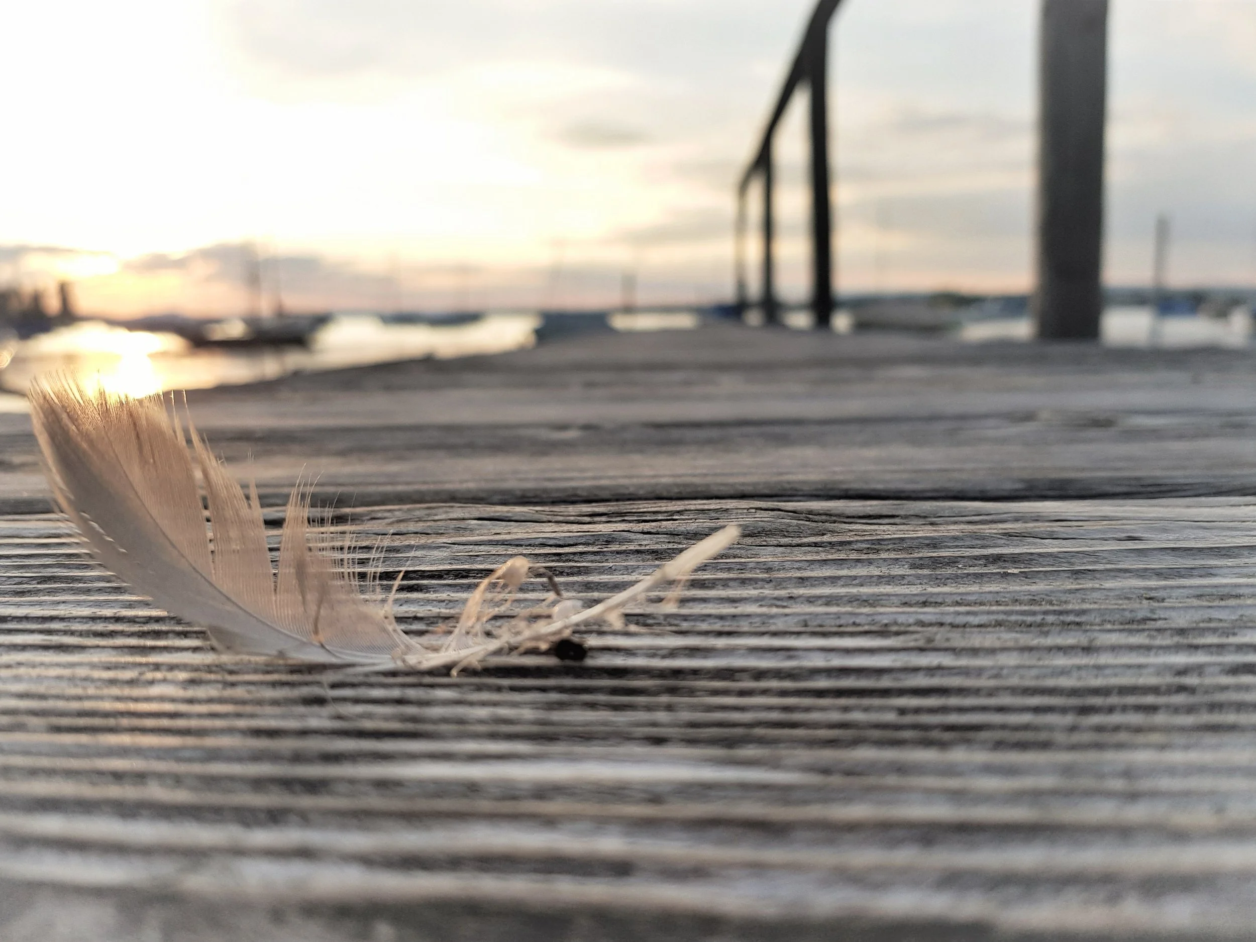 Feder auf Brücke (1 von 1).jpg
