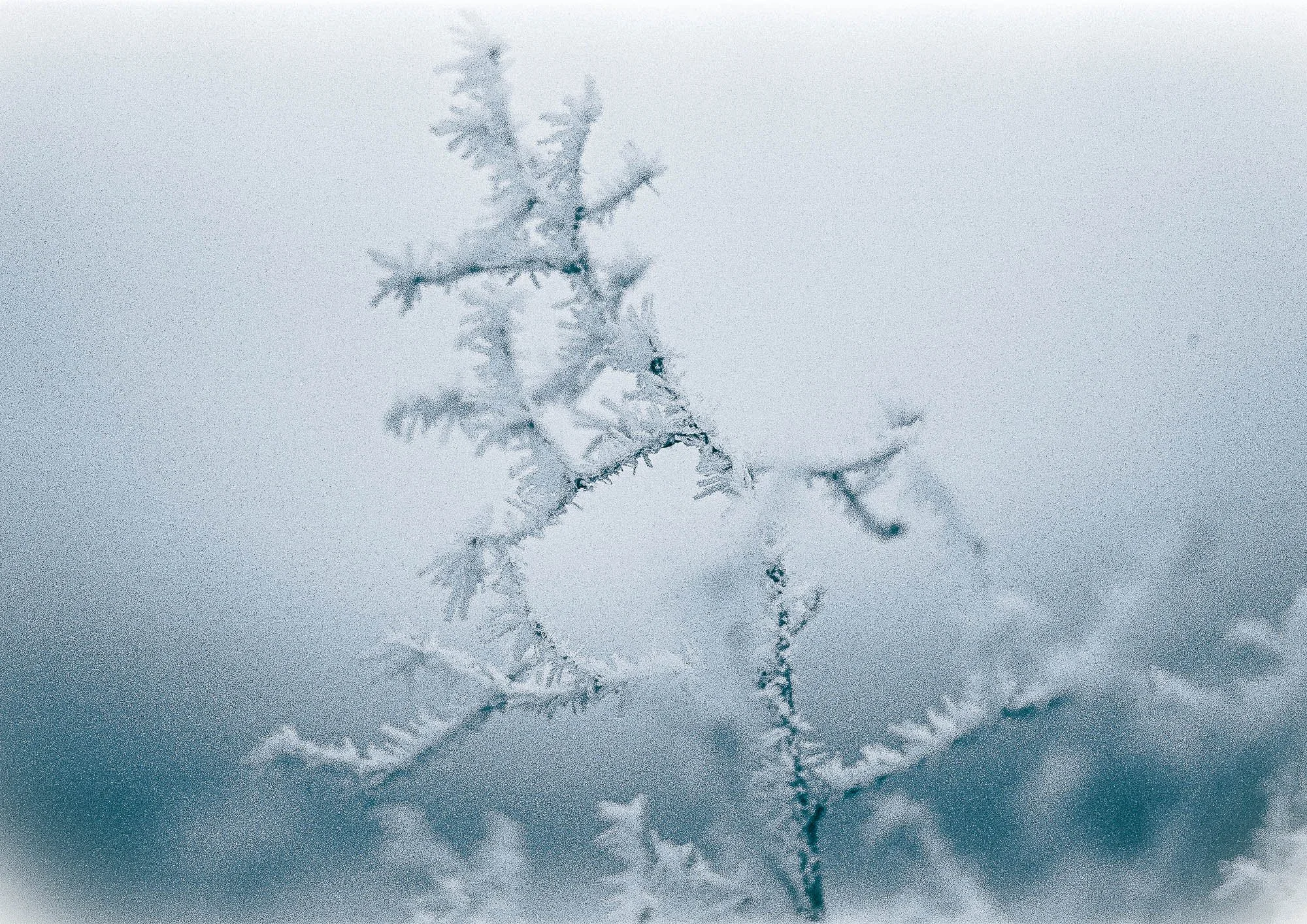 Eisfrost l (1 von 1).jpg