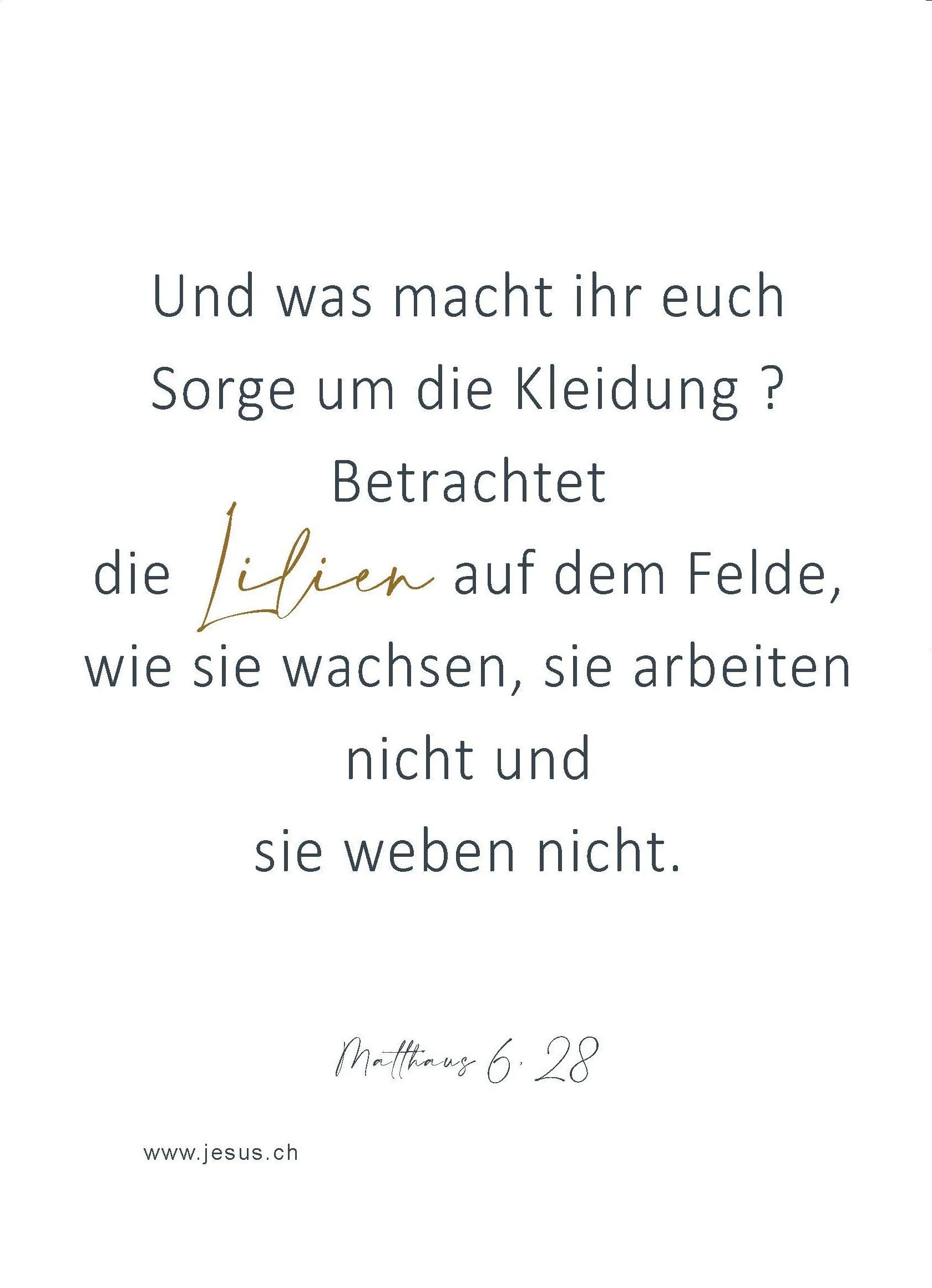 Nr 4 Lilien auf dem Felde RS ev-1.jpg d.jpg