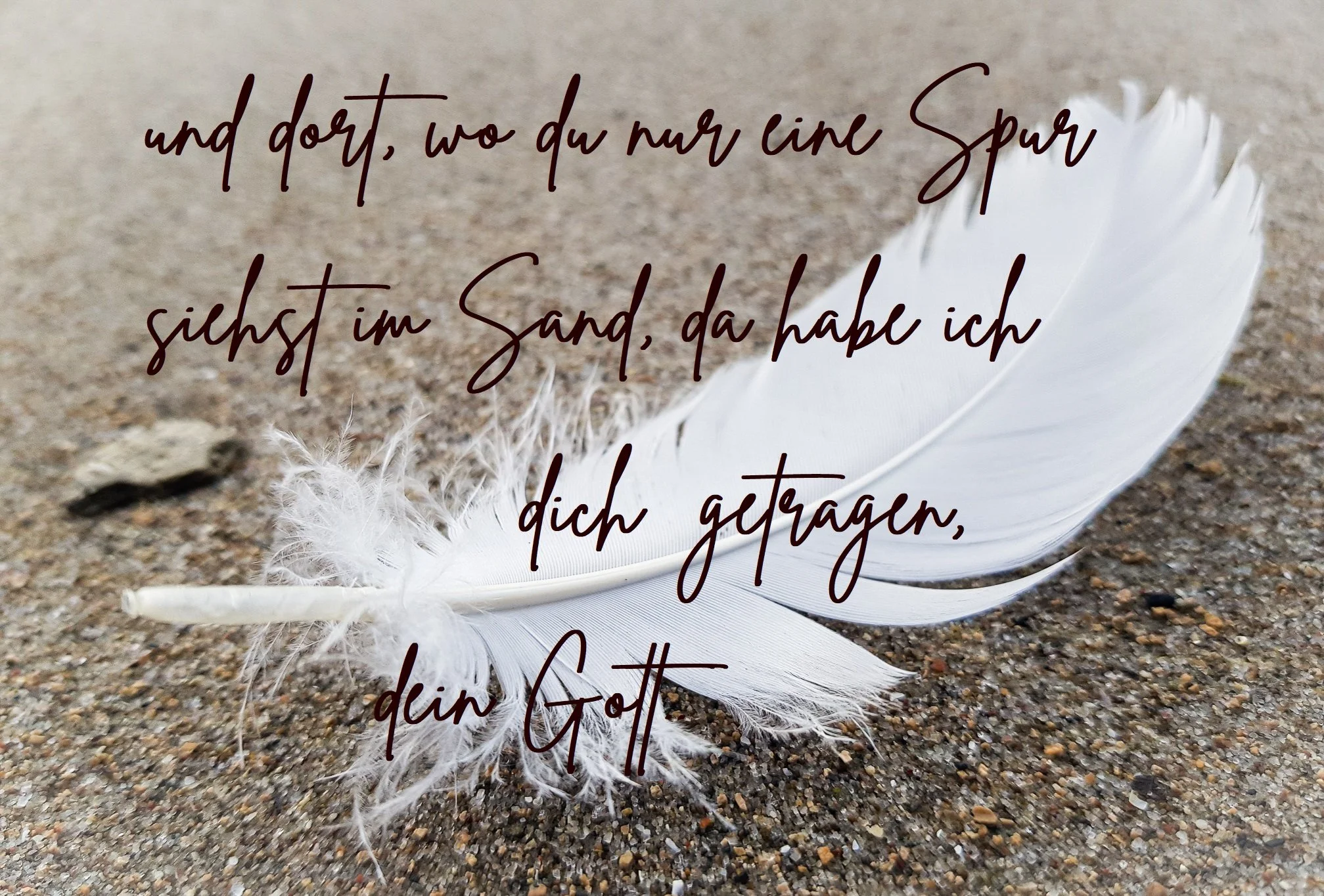 Nr 6, Vorderseite, Feder auf Sand (1 von 1).jpg