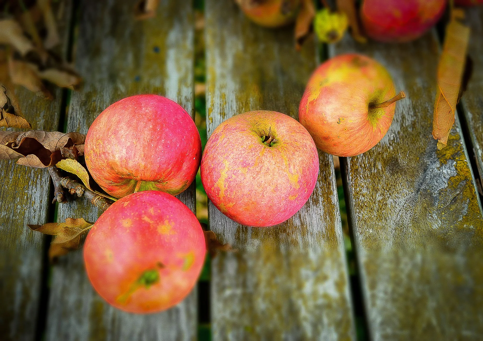 13 apfel auf Holztisch.jpg