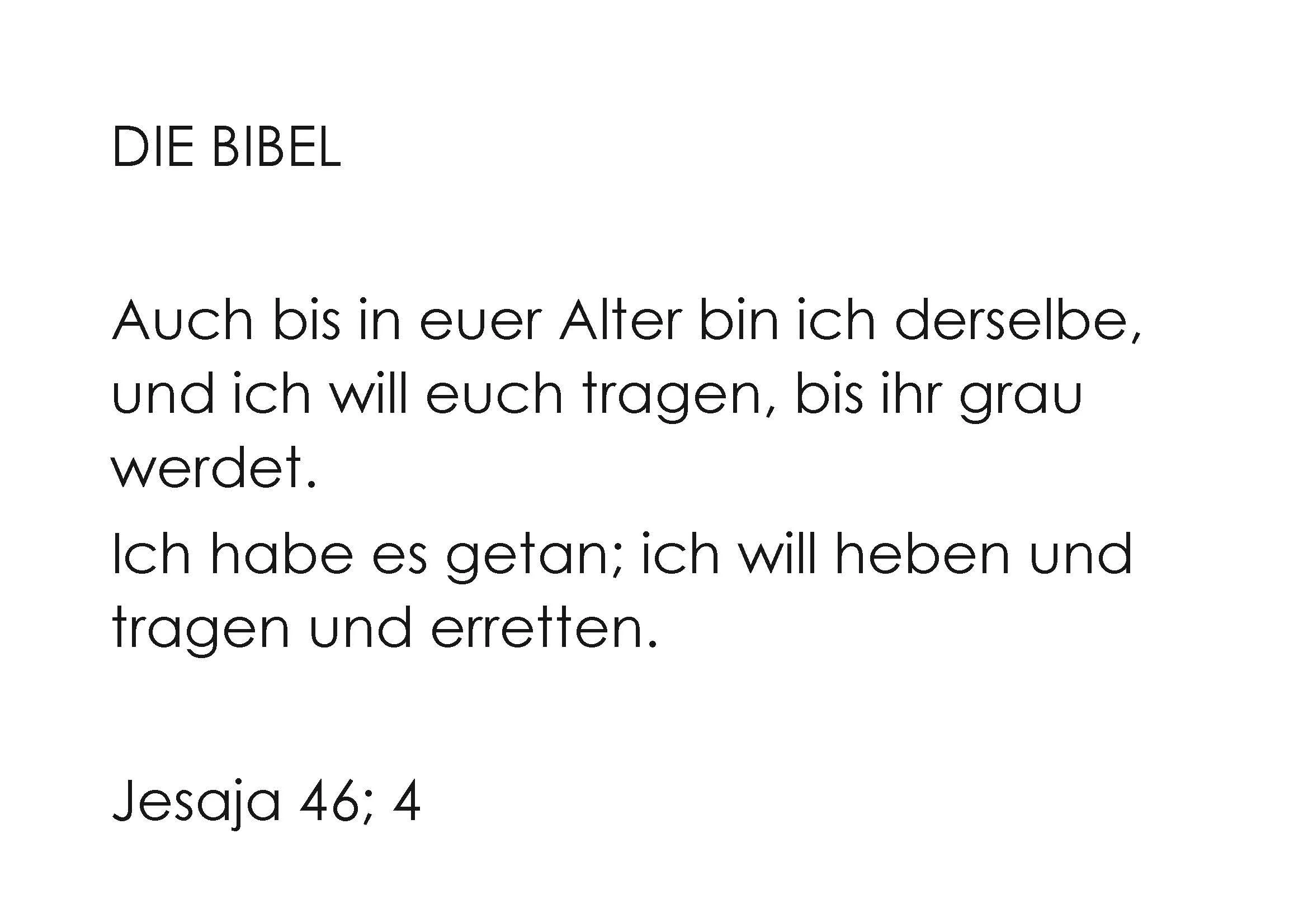 Nr 6, Rückseite, Feder auf Sand DIE BIBEL.jpg