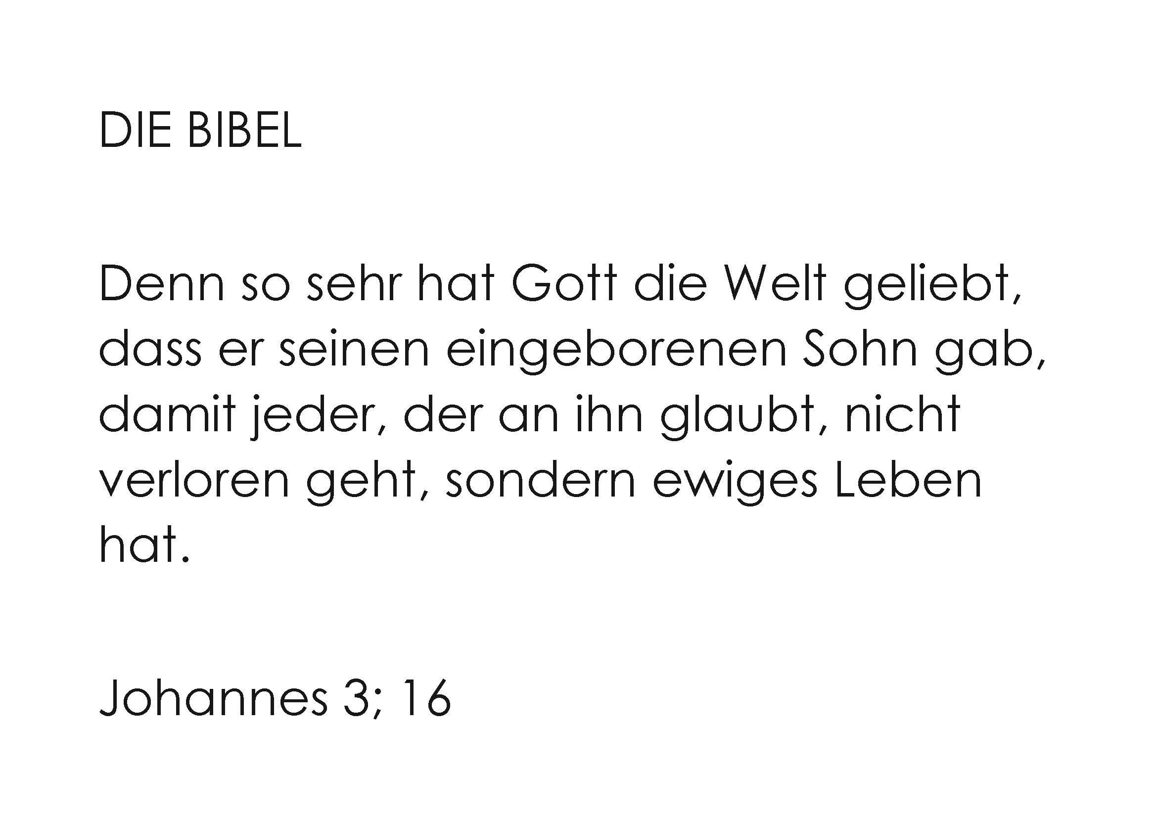 Nr 5, Rückseite, Kind&Mutterhand DIE BIBEL.jpg