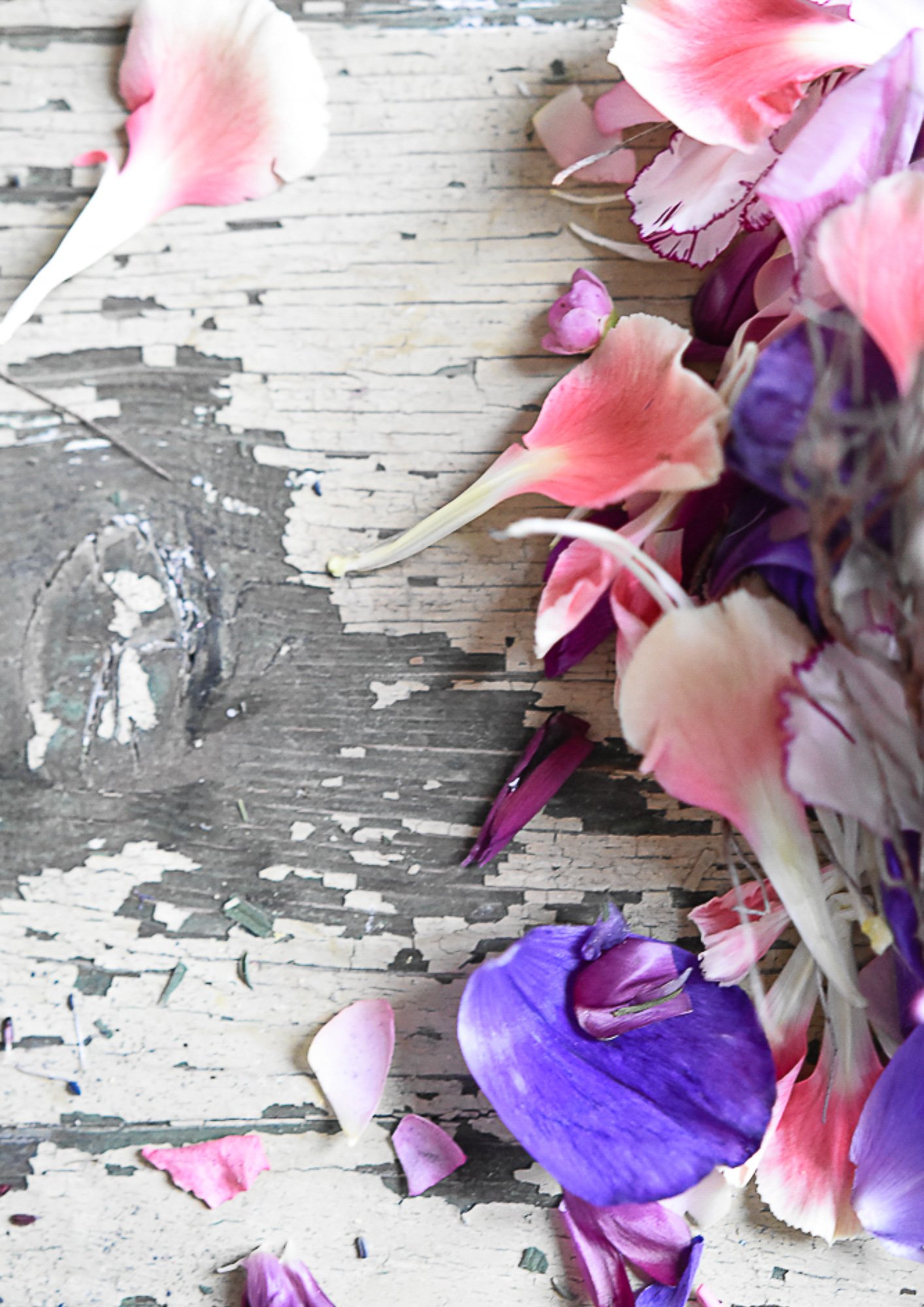 13 Nelkenblaetter.jpg