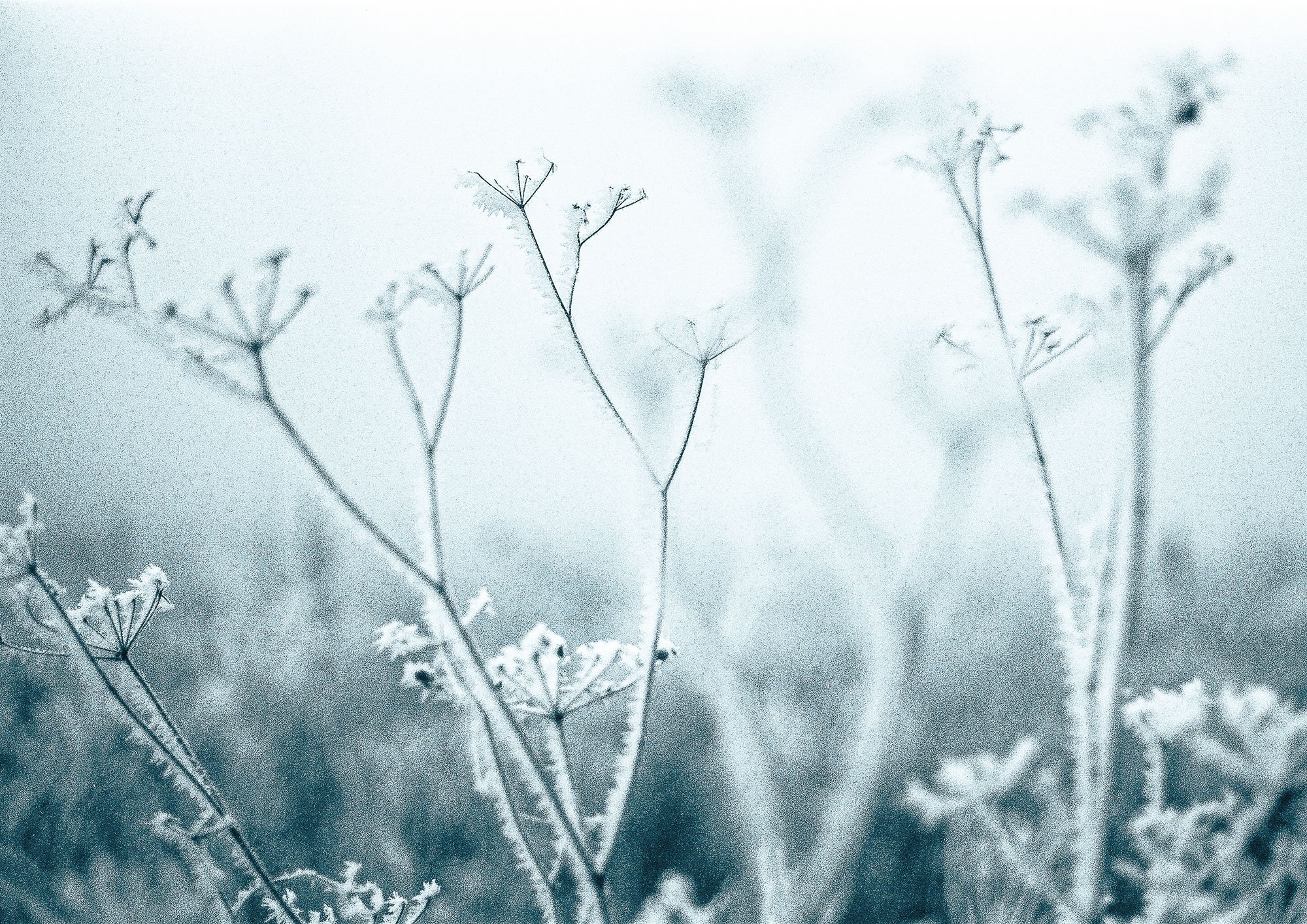Winterwelt