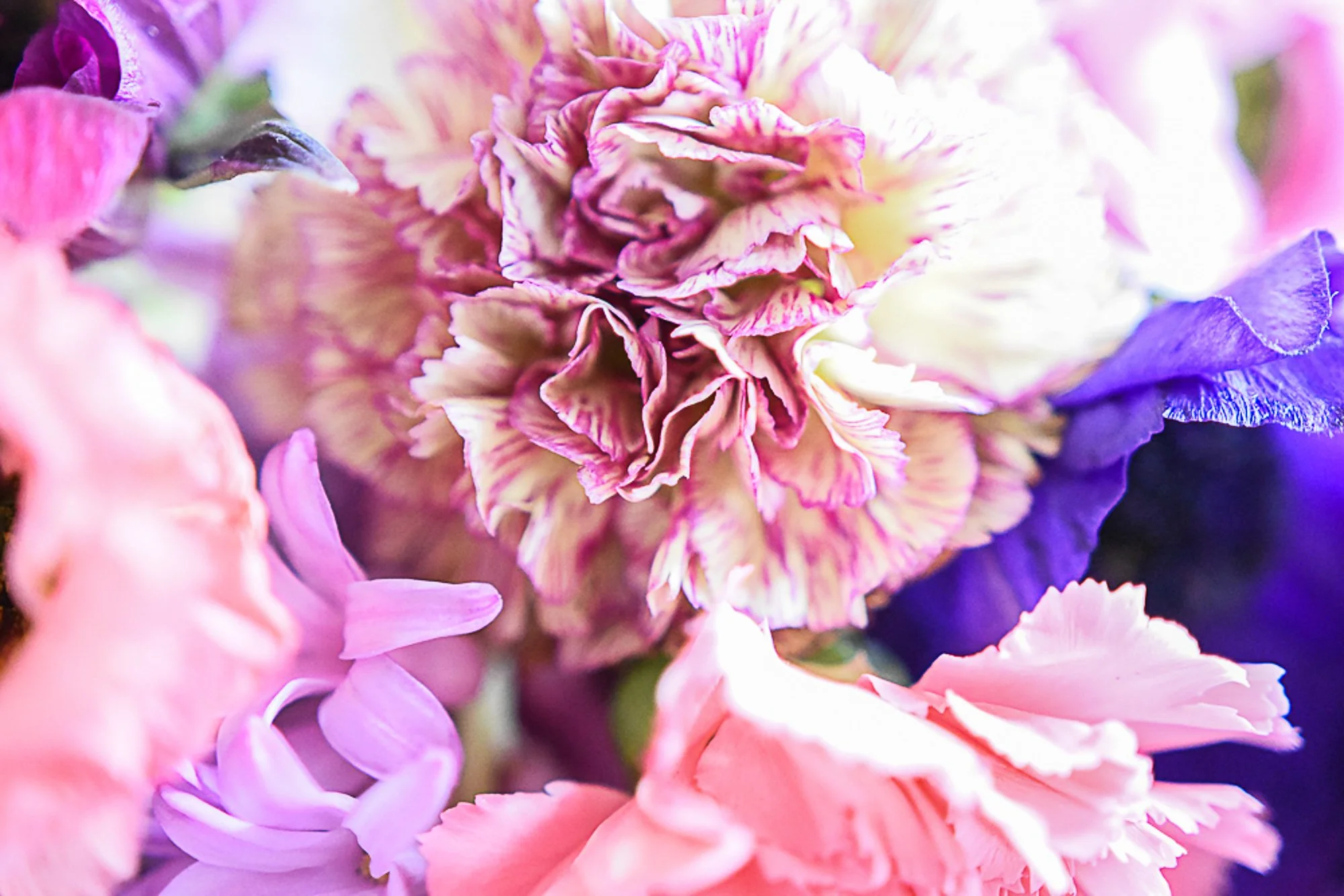 Nelkenbouquet I