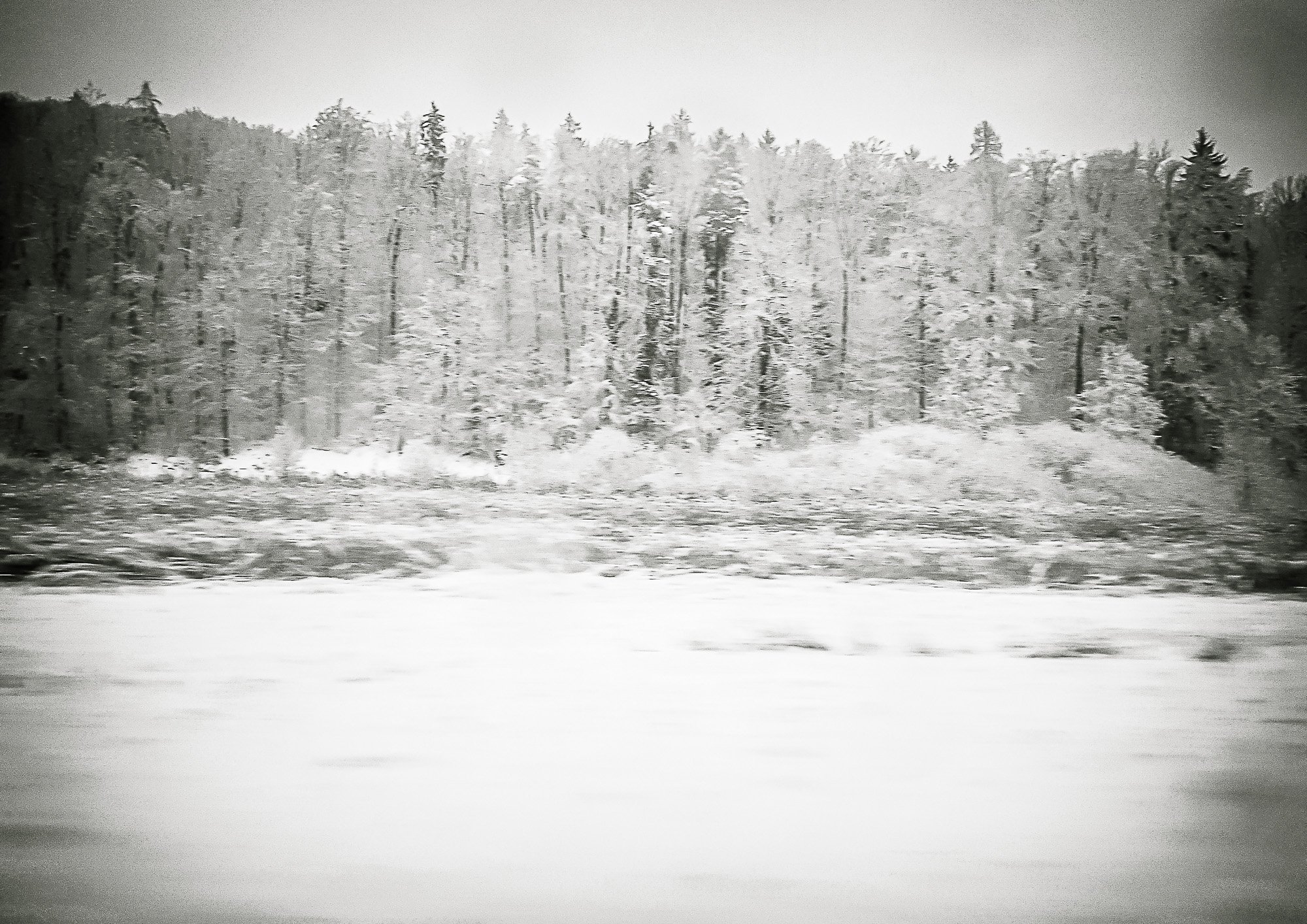 Winterwald l (1 von 1)-2.jpg