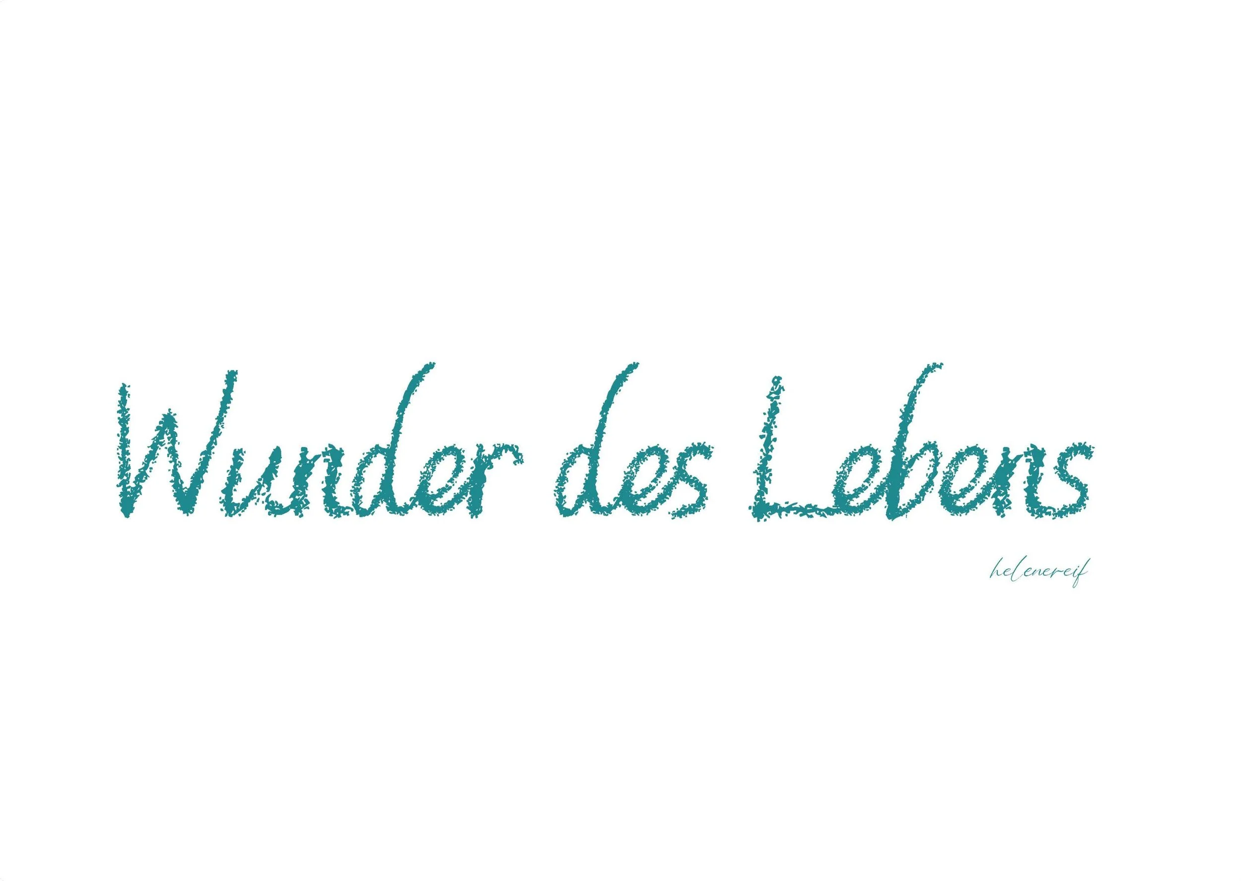 Wunder des Lebens