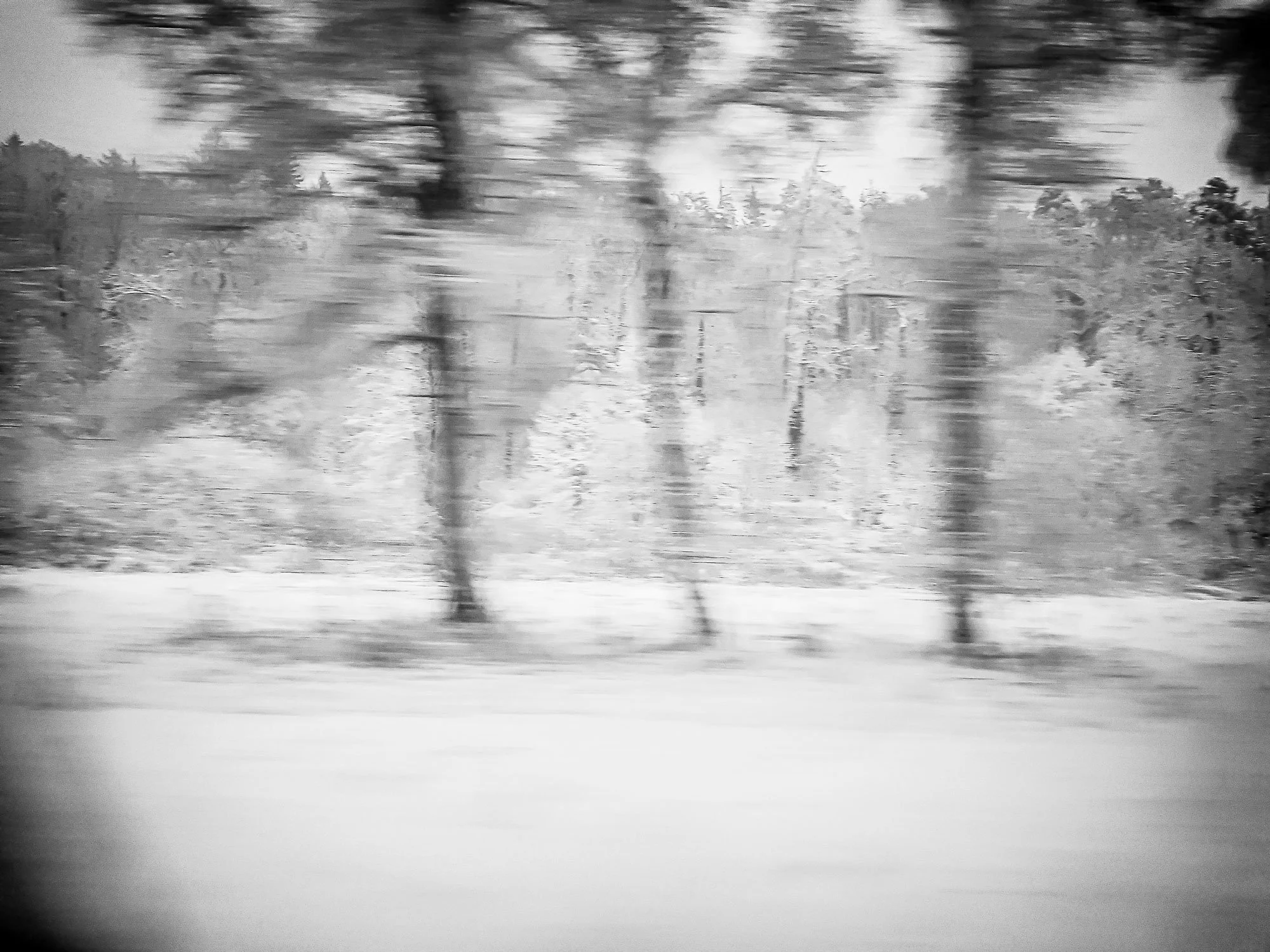 Winterwald-ll-web.jpg