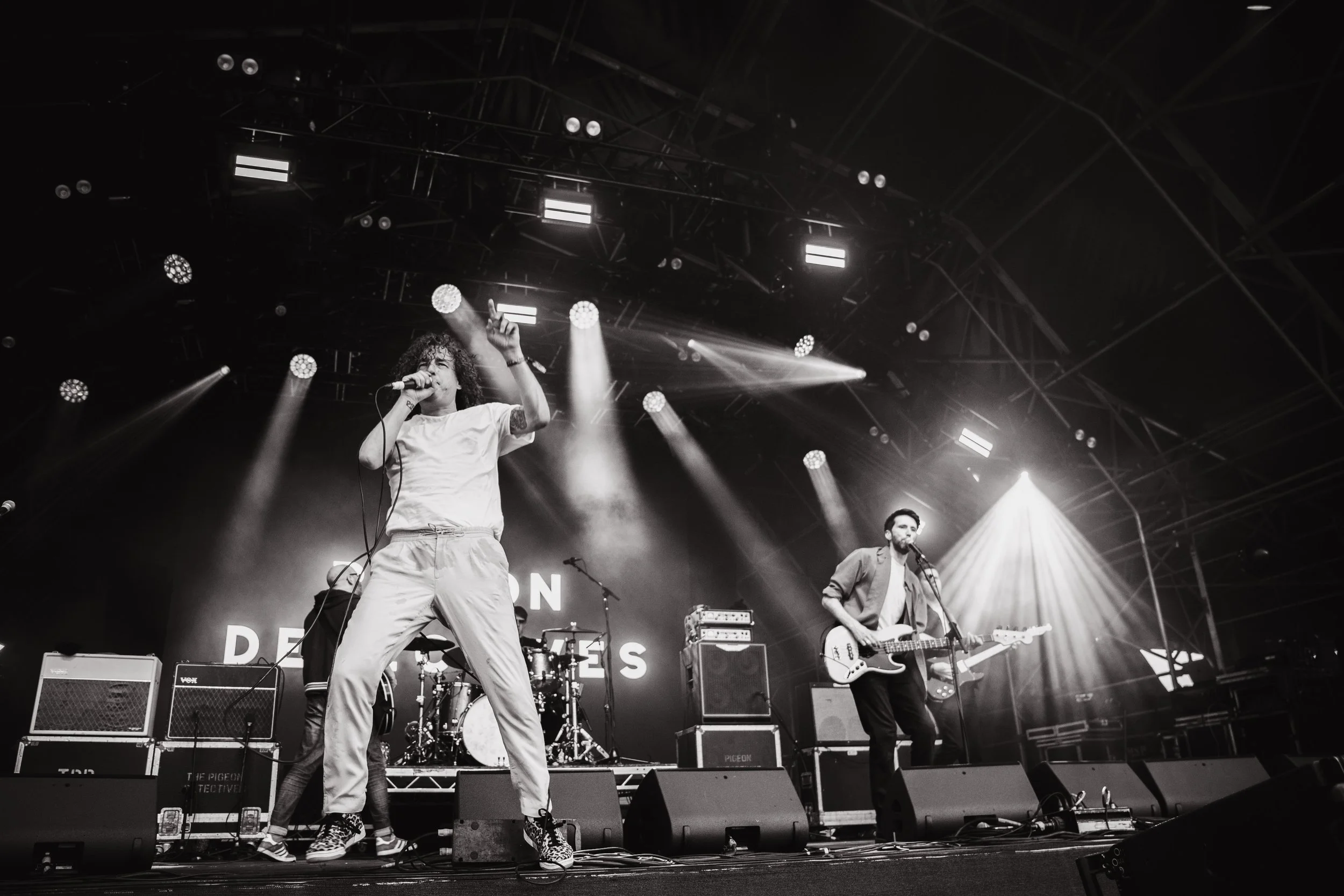 -250524 - PIGEONS LAL--19.jpg