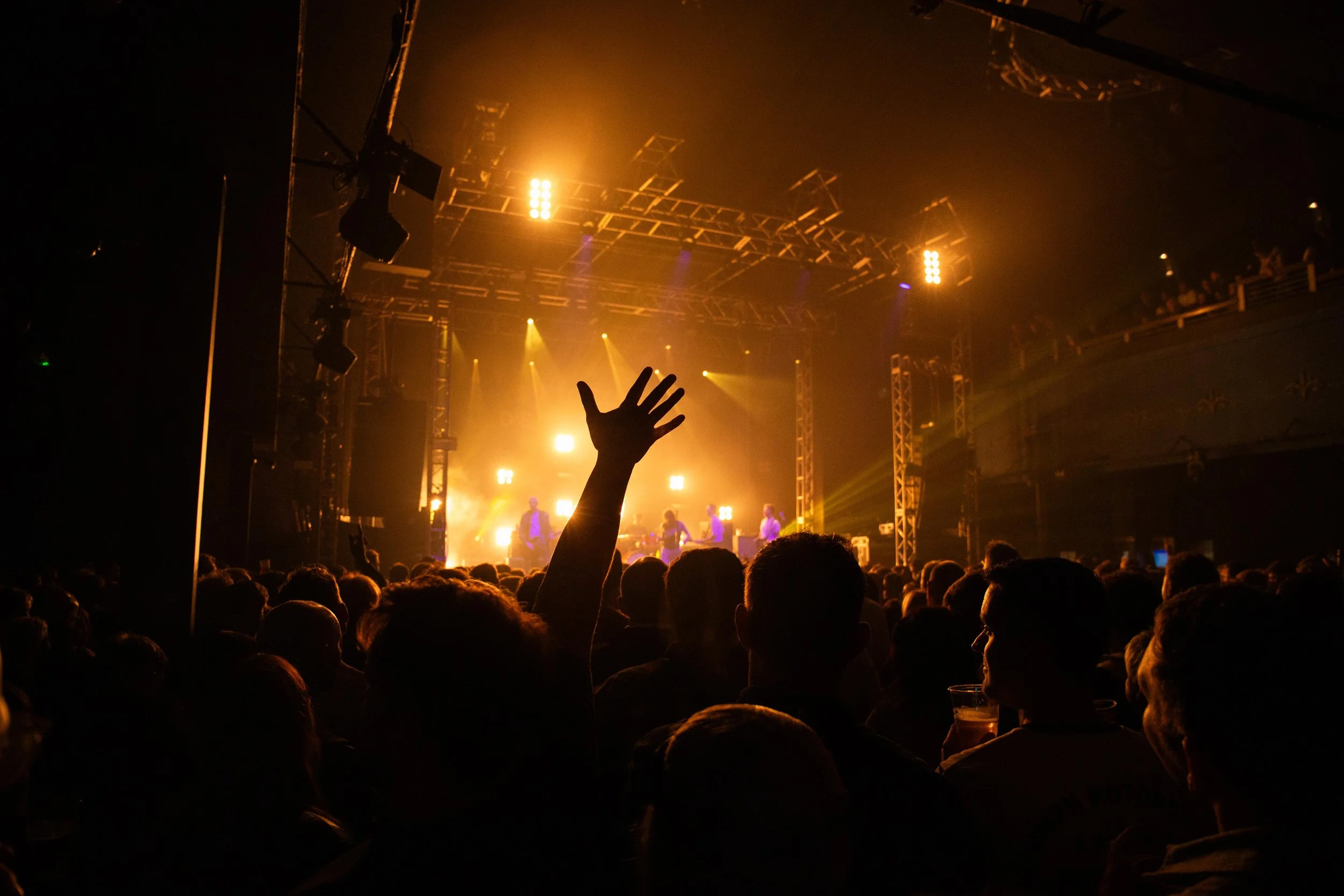 -251004 - PIGEONS--23.jpg