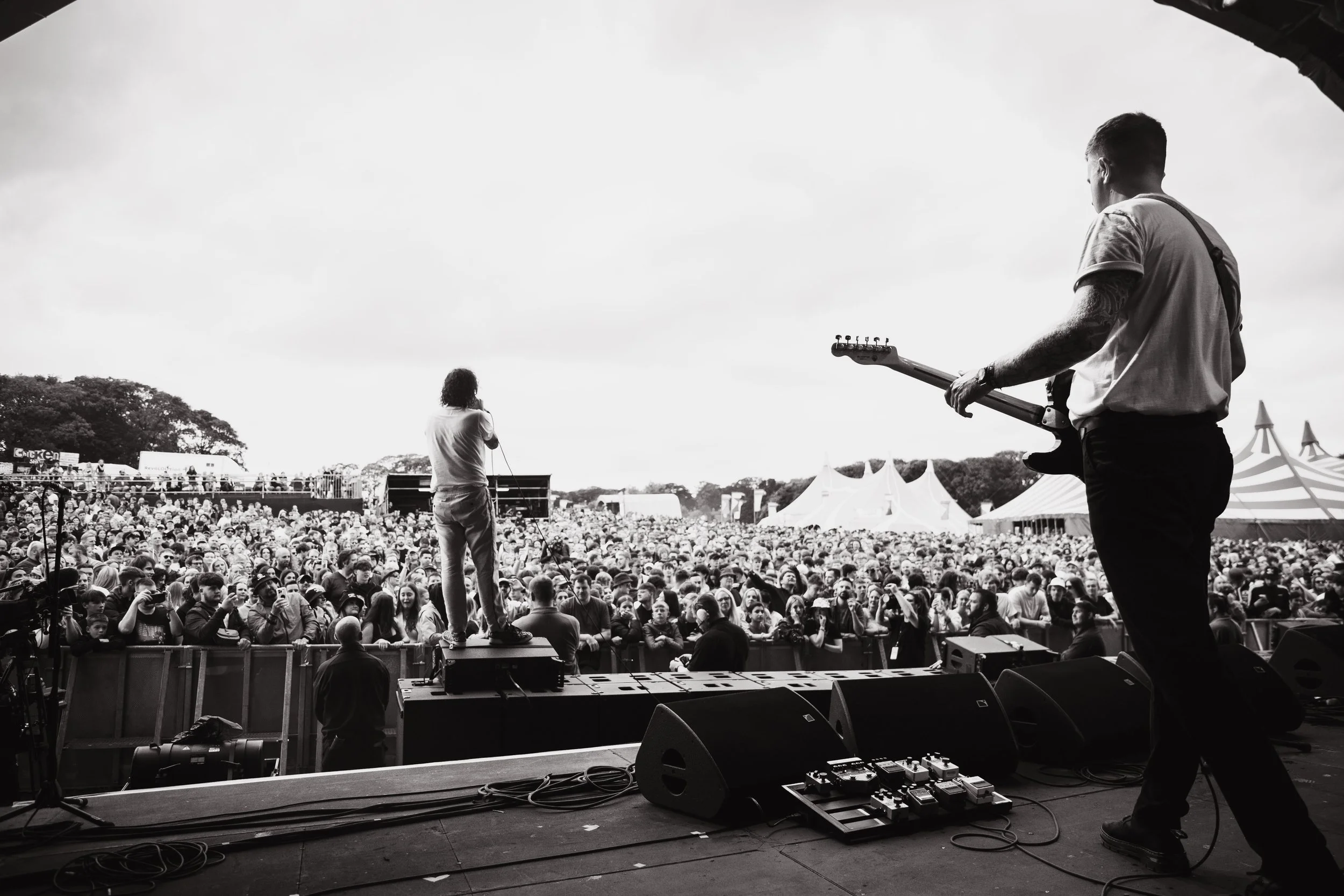 -250524 - PIGEONS LAL--24.jpg