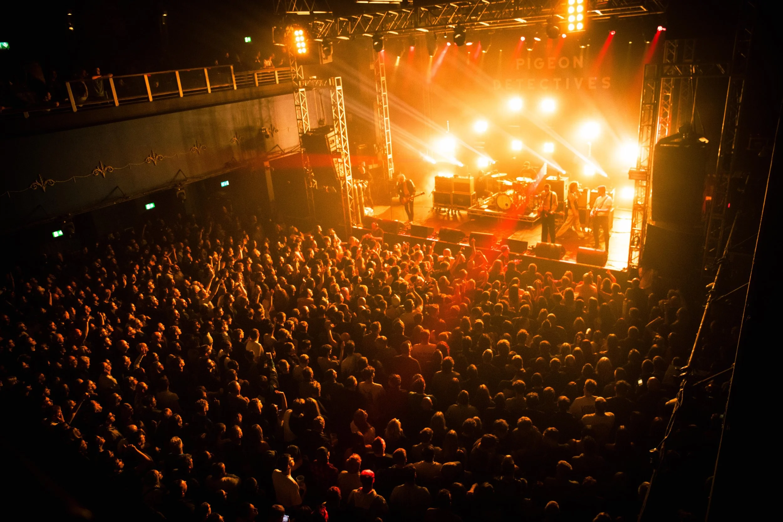 -251004 - PIGEONS--22.jpg