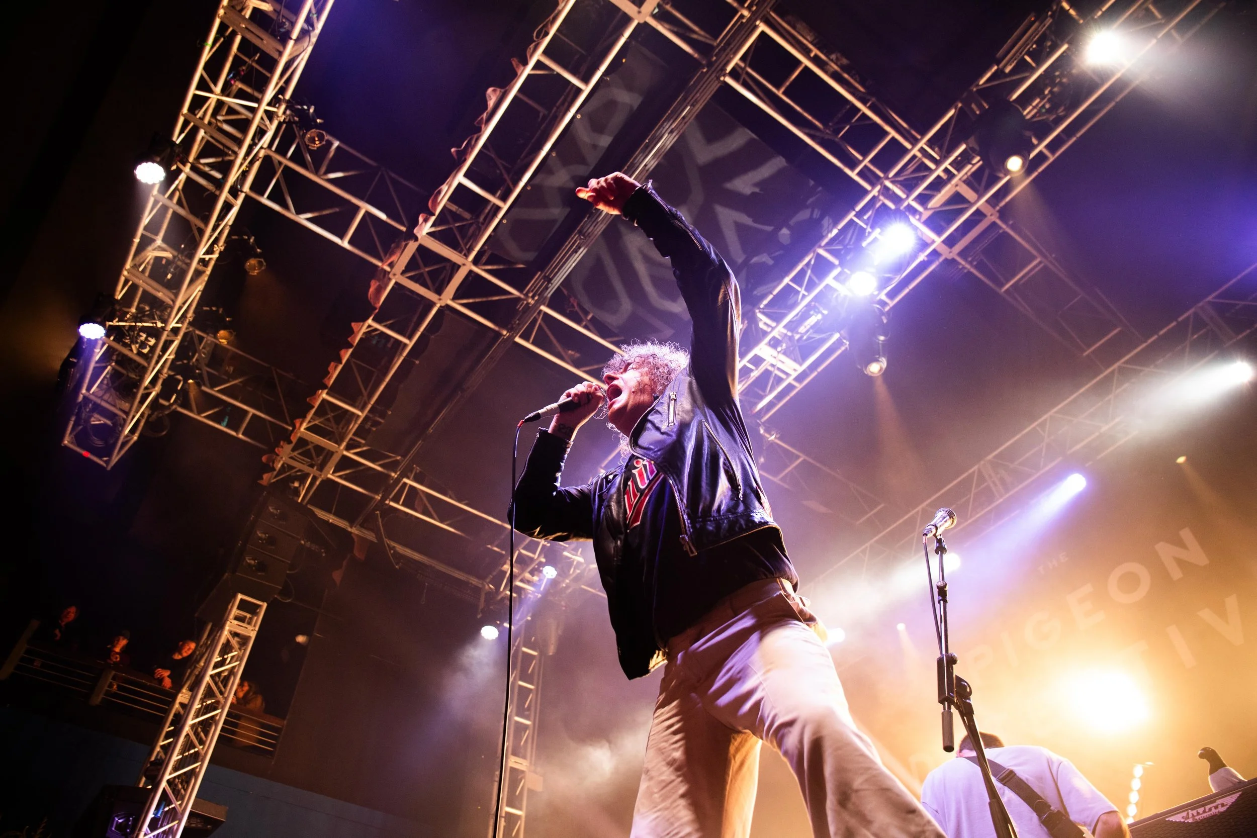 -251004 - PIGEONS--7.jpg