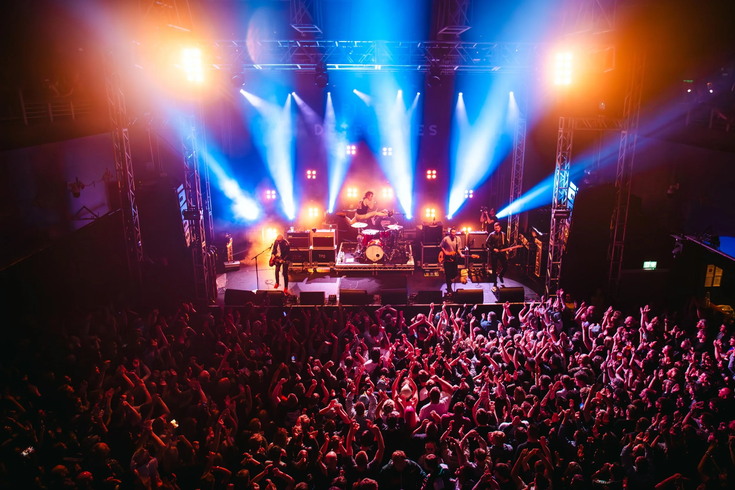 -251004 - PIGEONS--19.jpg