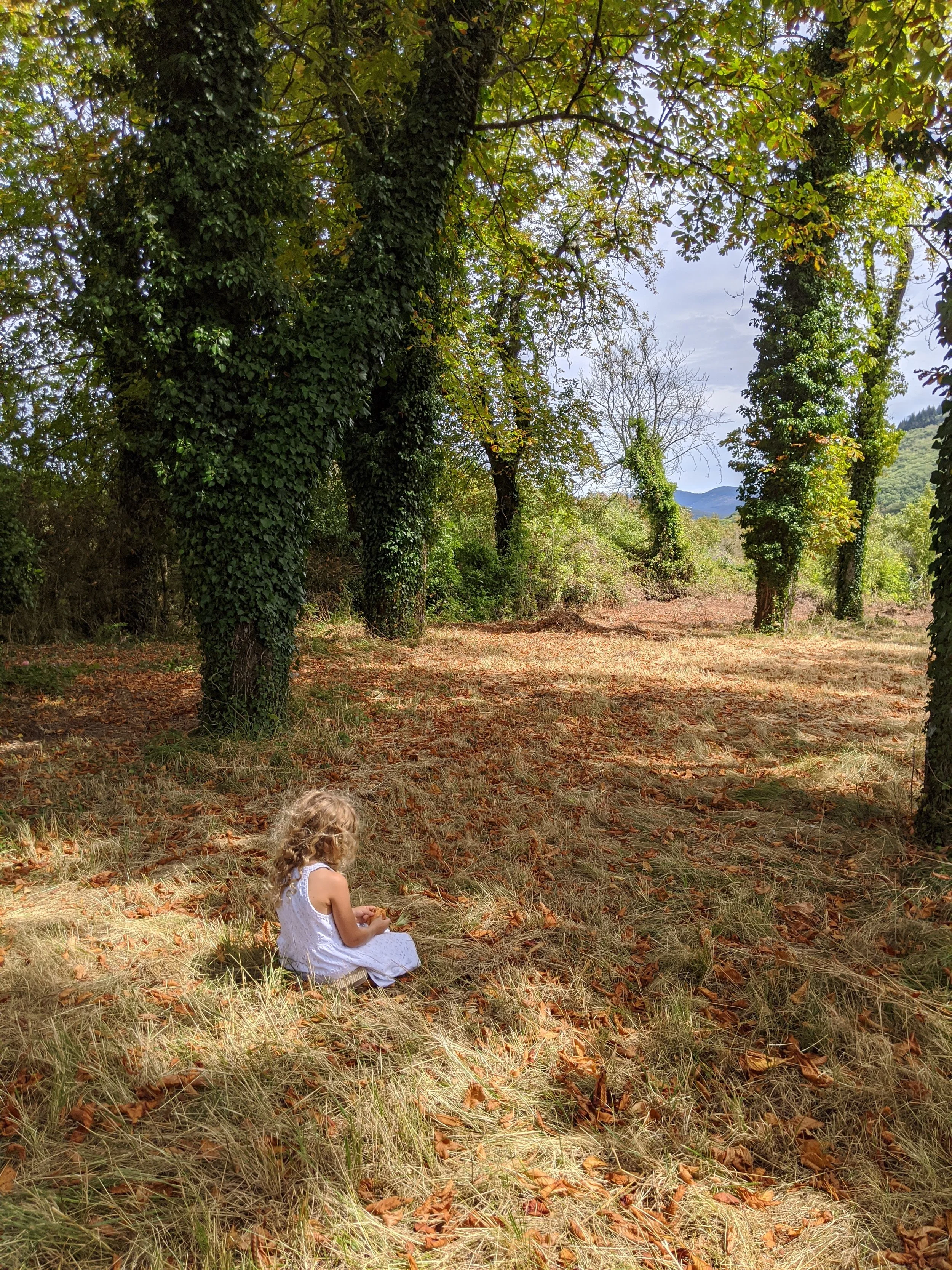 A young girl with curly hair in a white dress sitting on grass in a wooded area, holding a small object, with trees and a mountain in the background.