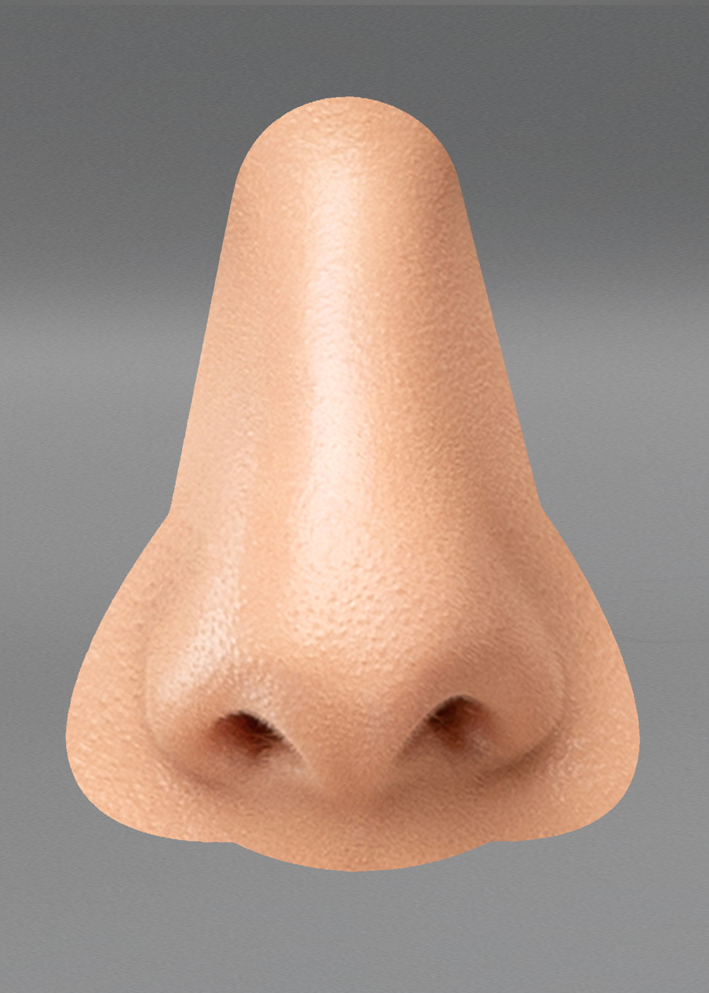 Kate’s Sense of Smell (Olfactory Asset)