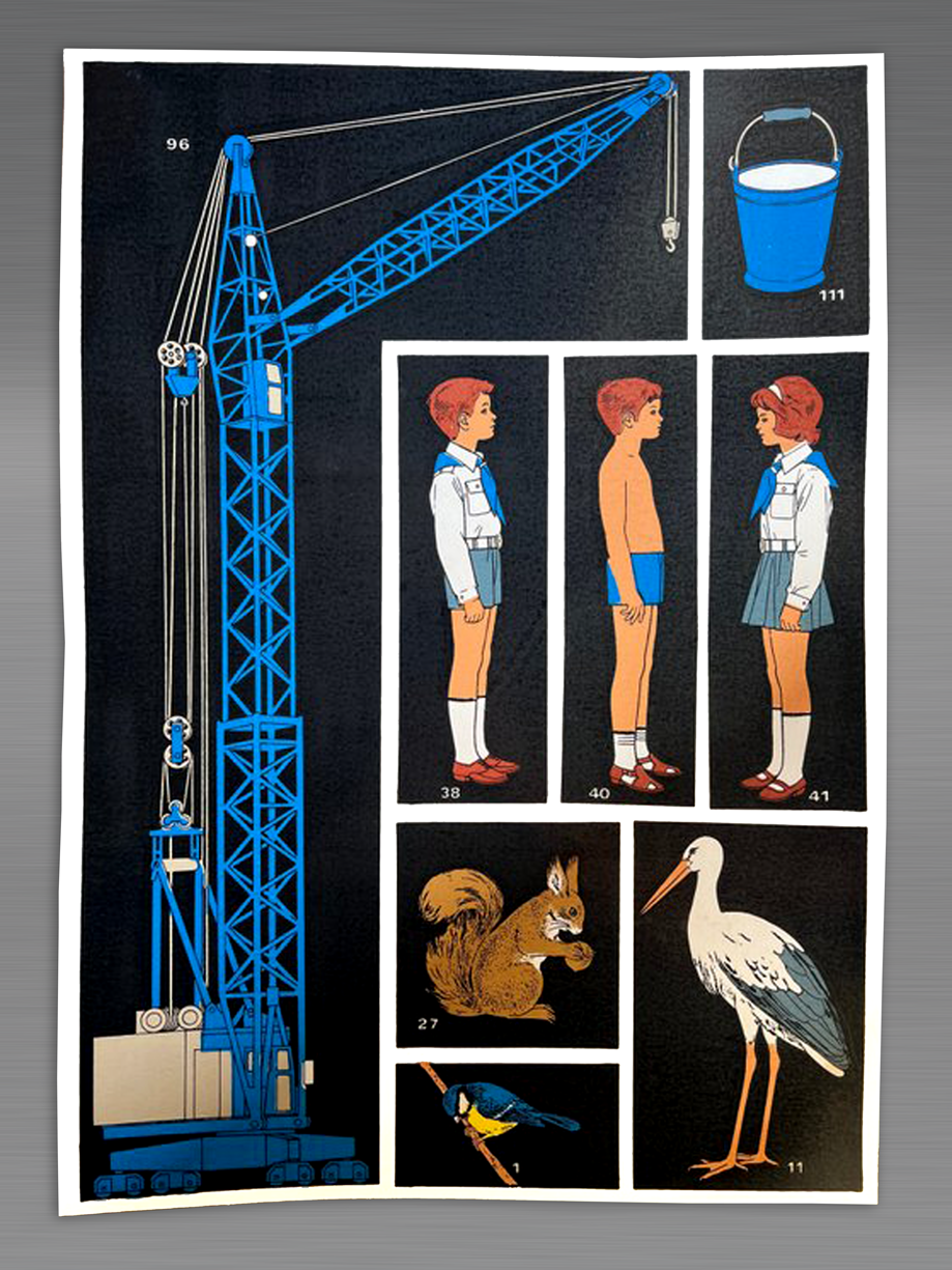 Safety Protocols for Incompatible Species - József Fogas Poster