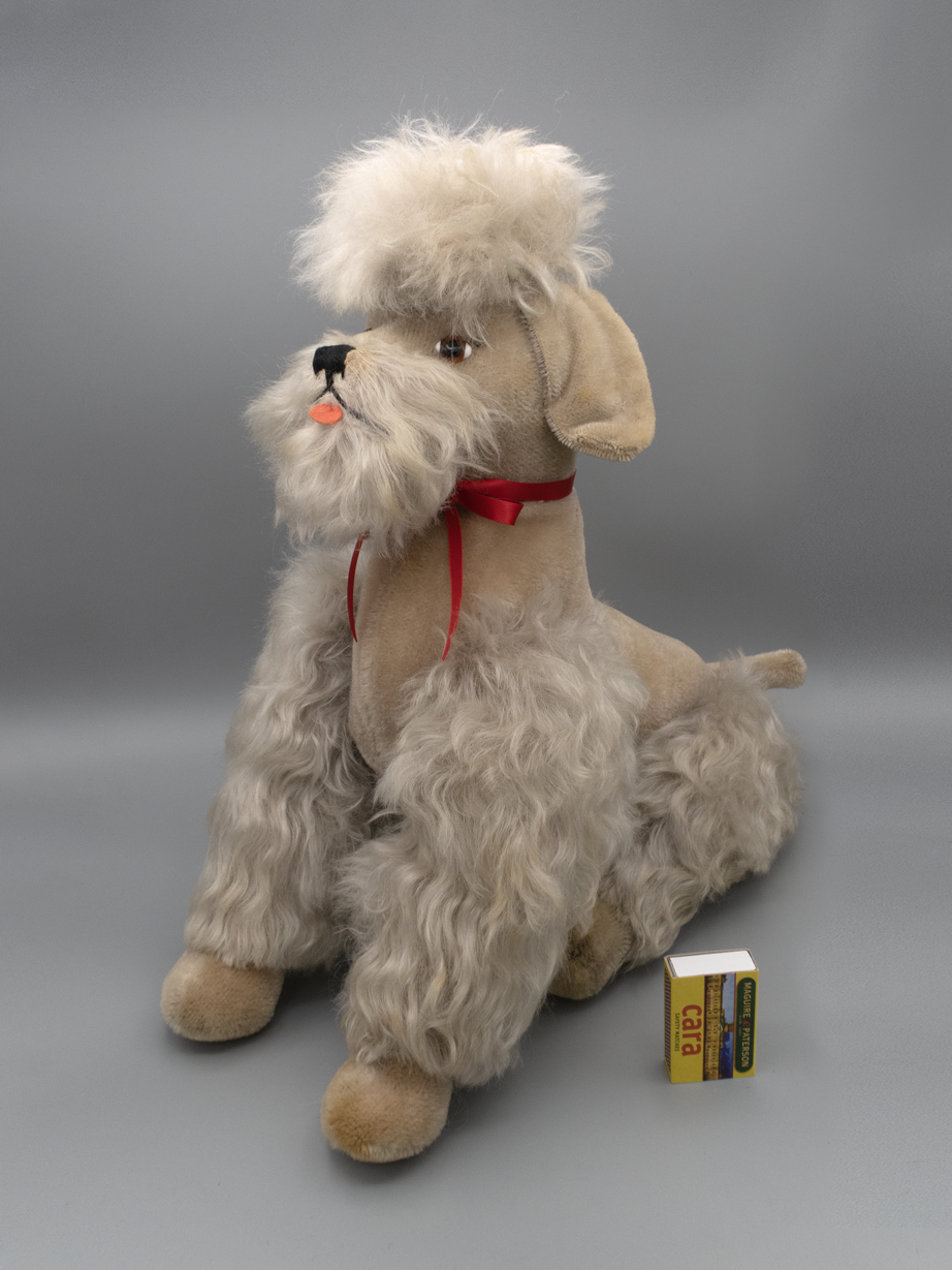 The "Sentient" Steiff Poodle | Vintage Steiff (circa 1950s)
